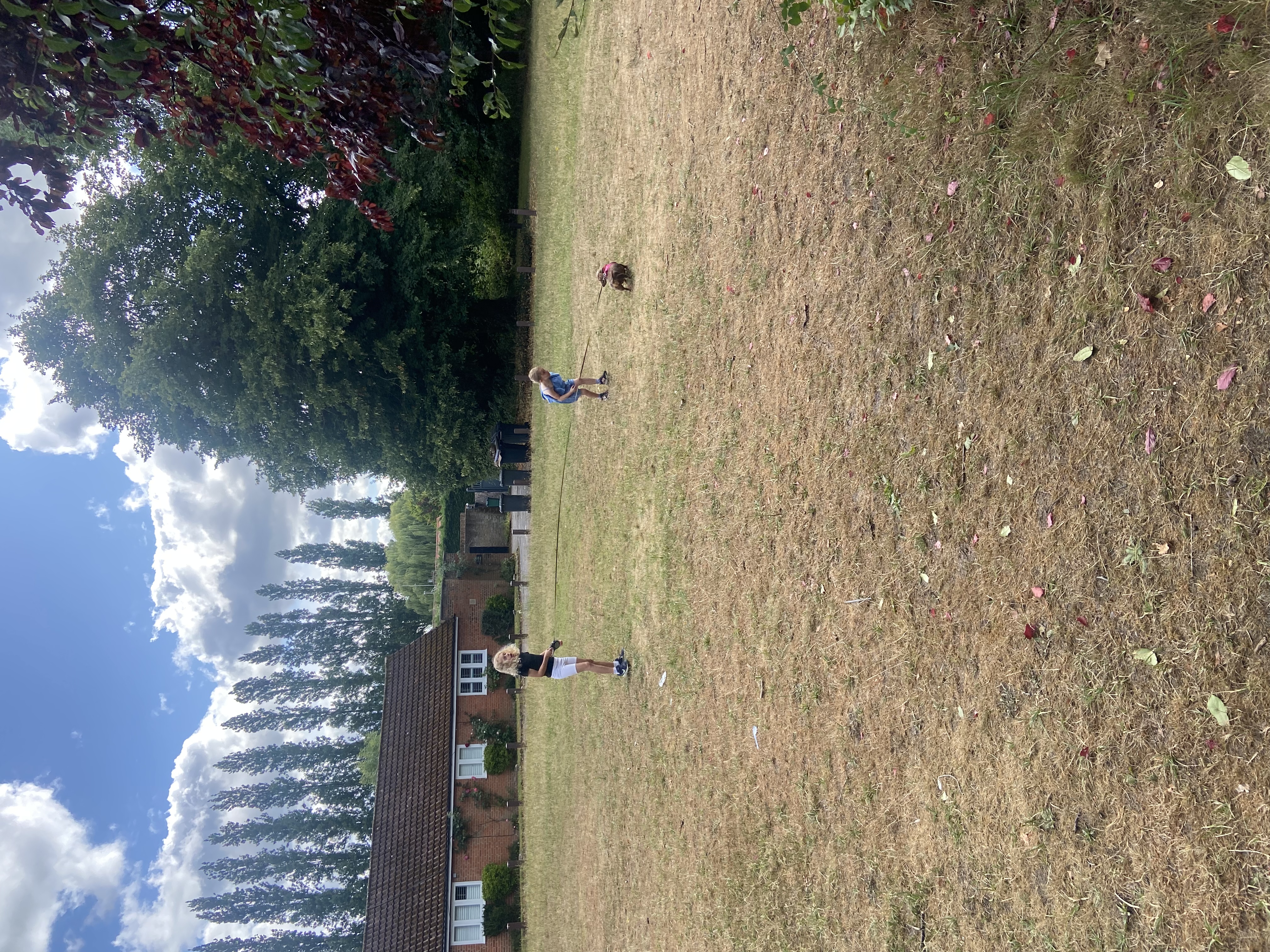 image-13