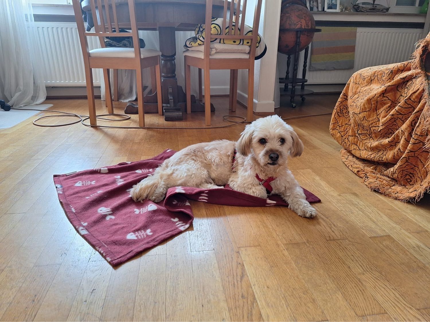 image-15