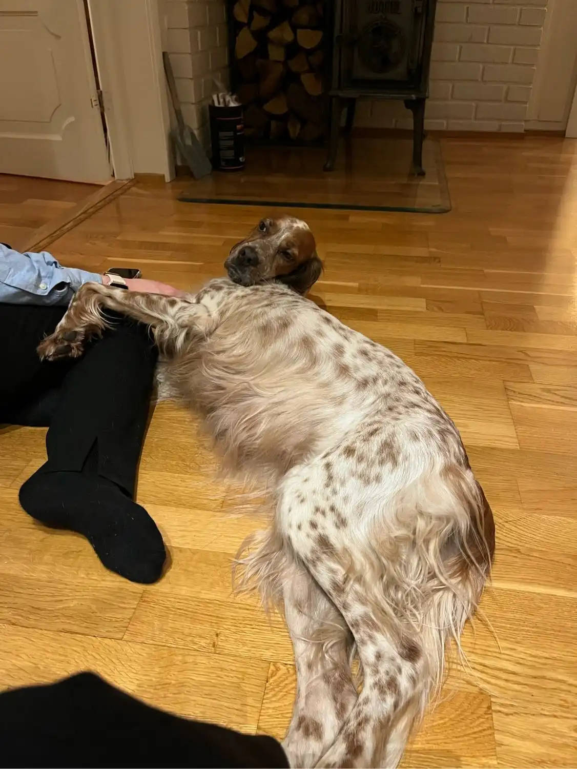 image-6