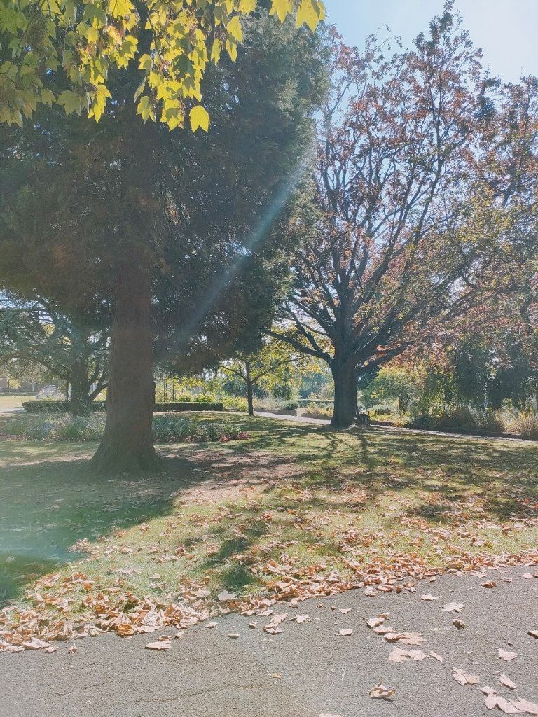 image-10
