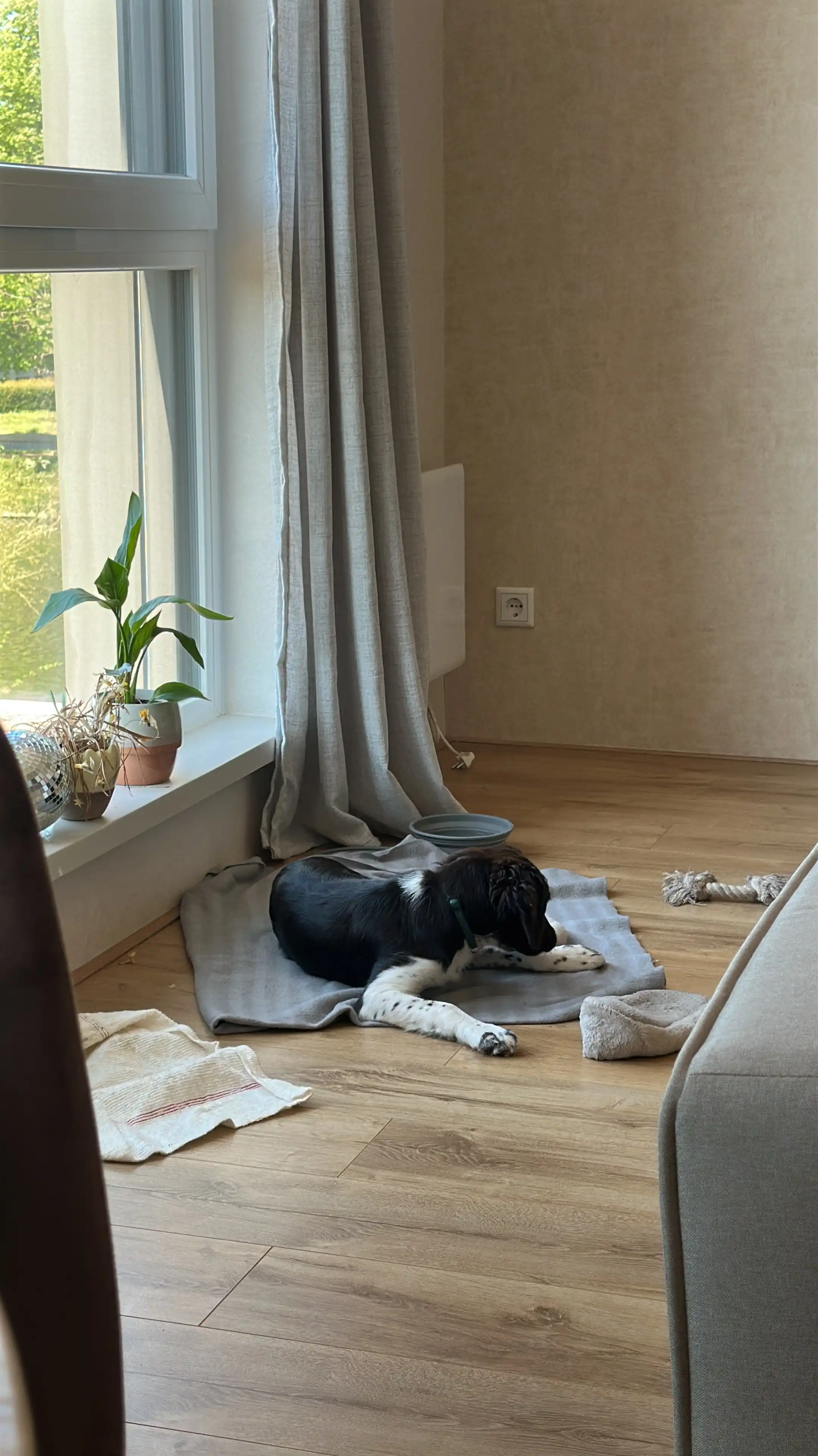 image-35