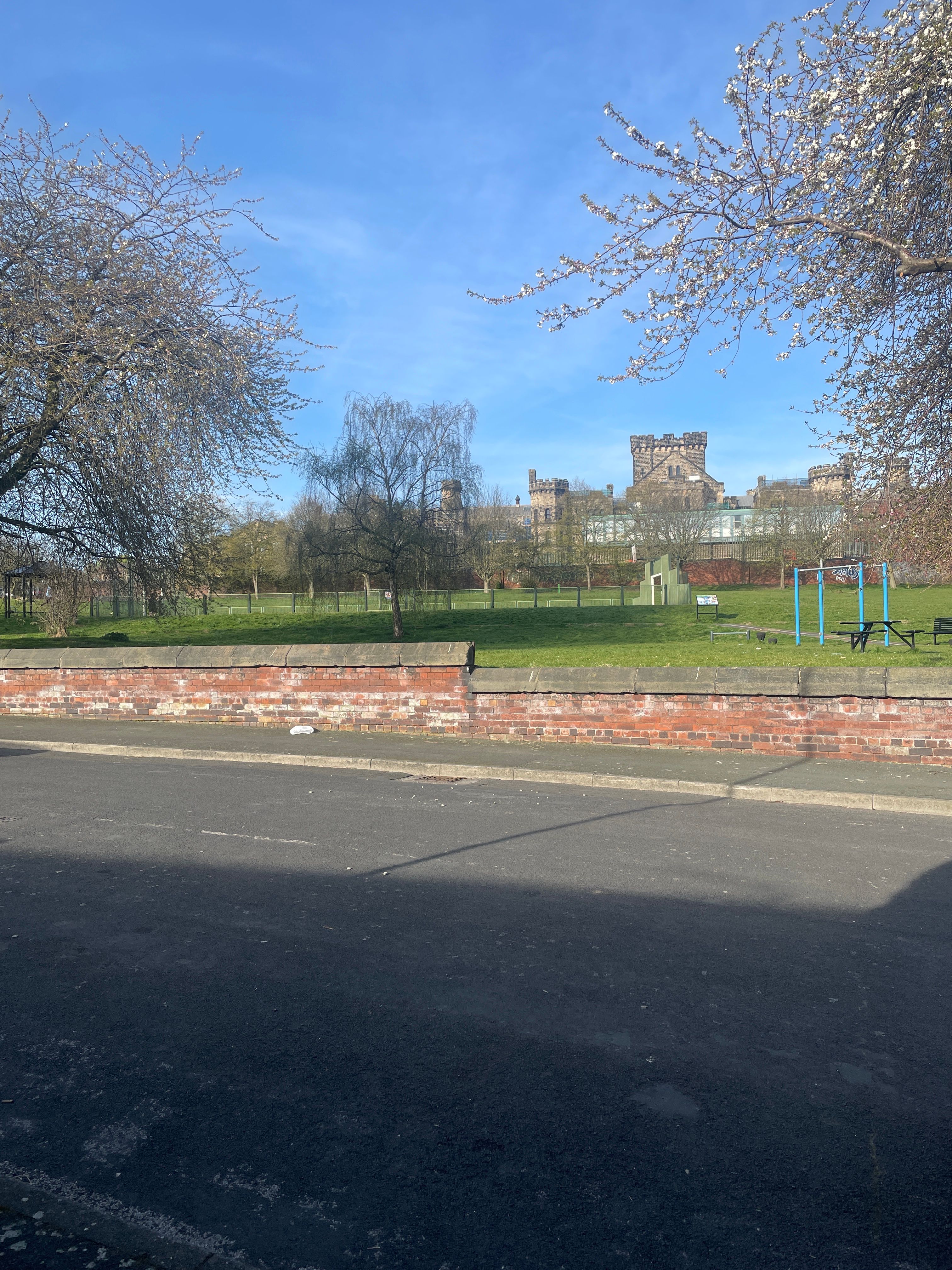 image-20