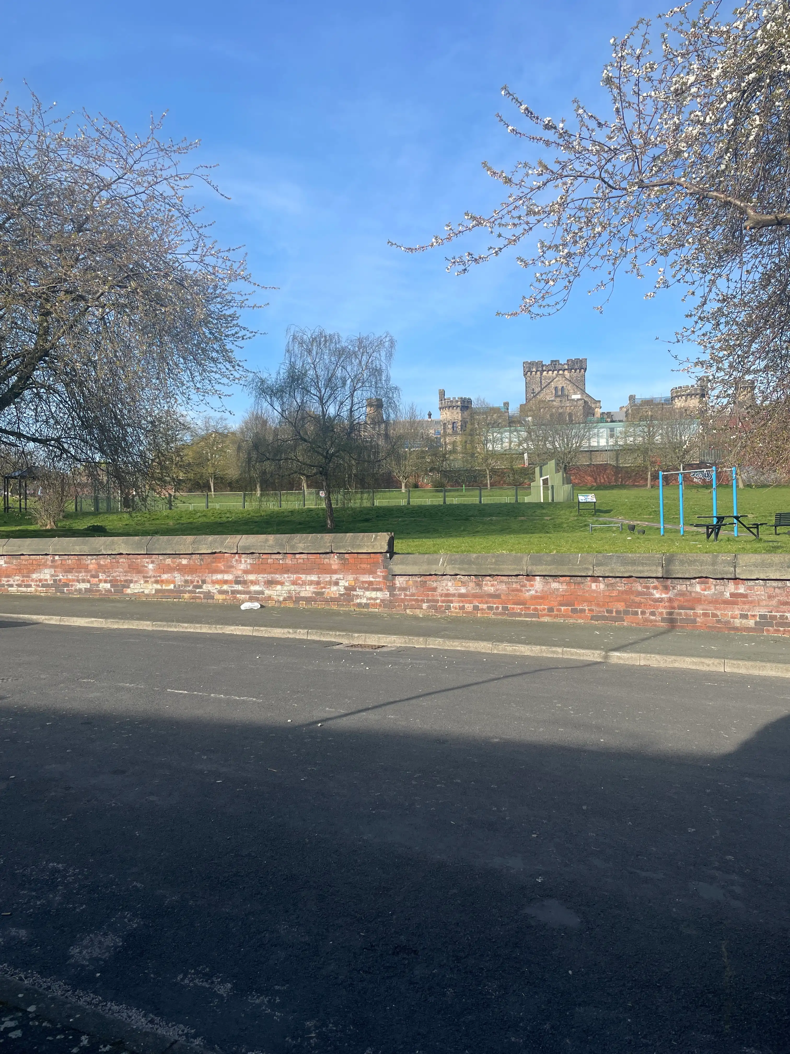 image-20