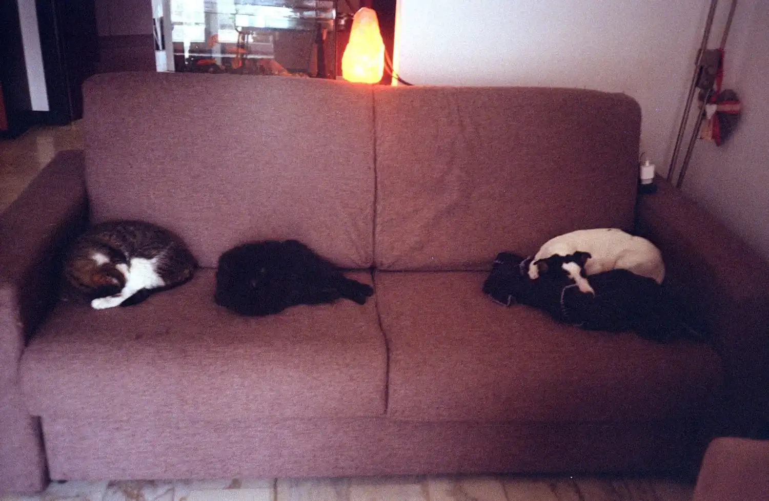 image-7
