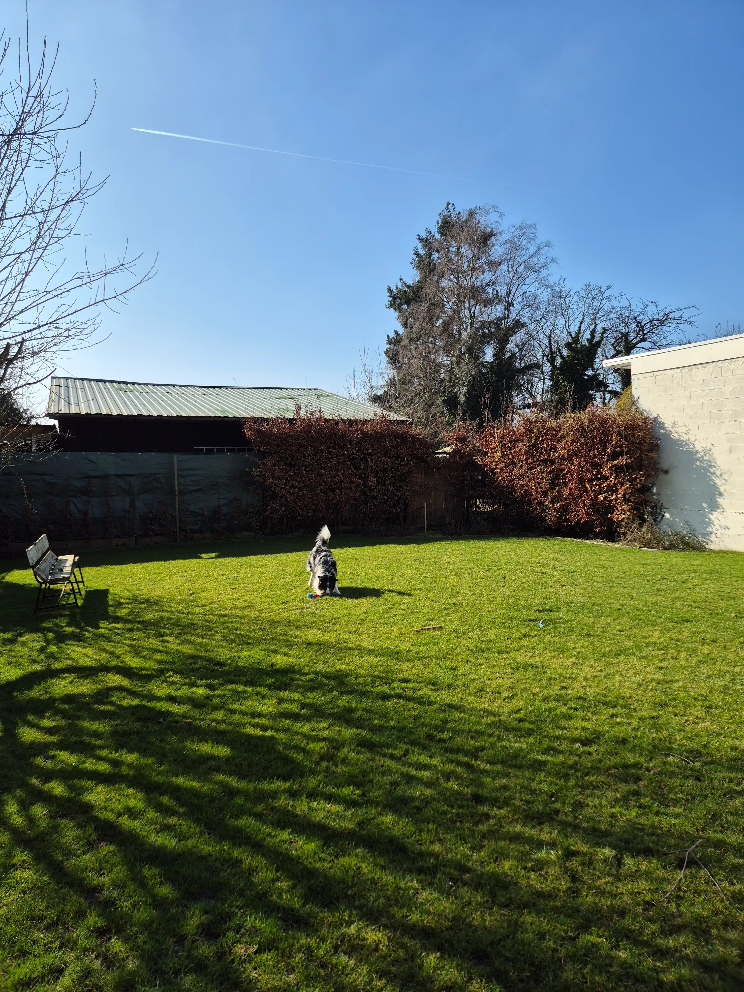 image-11