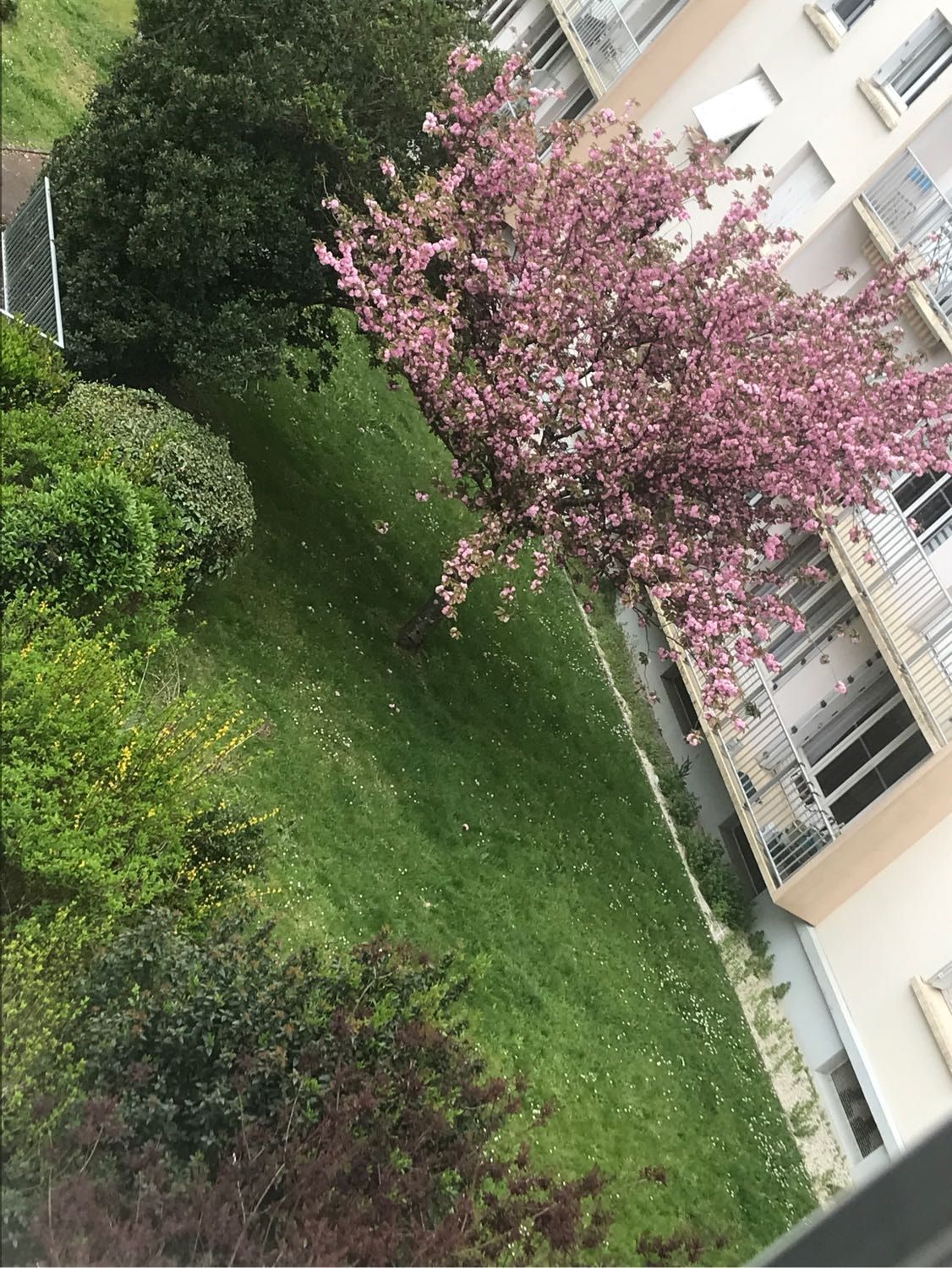 image-14