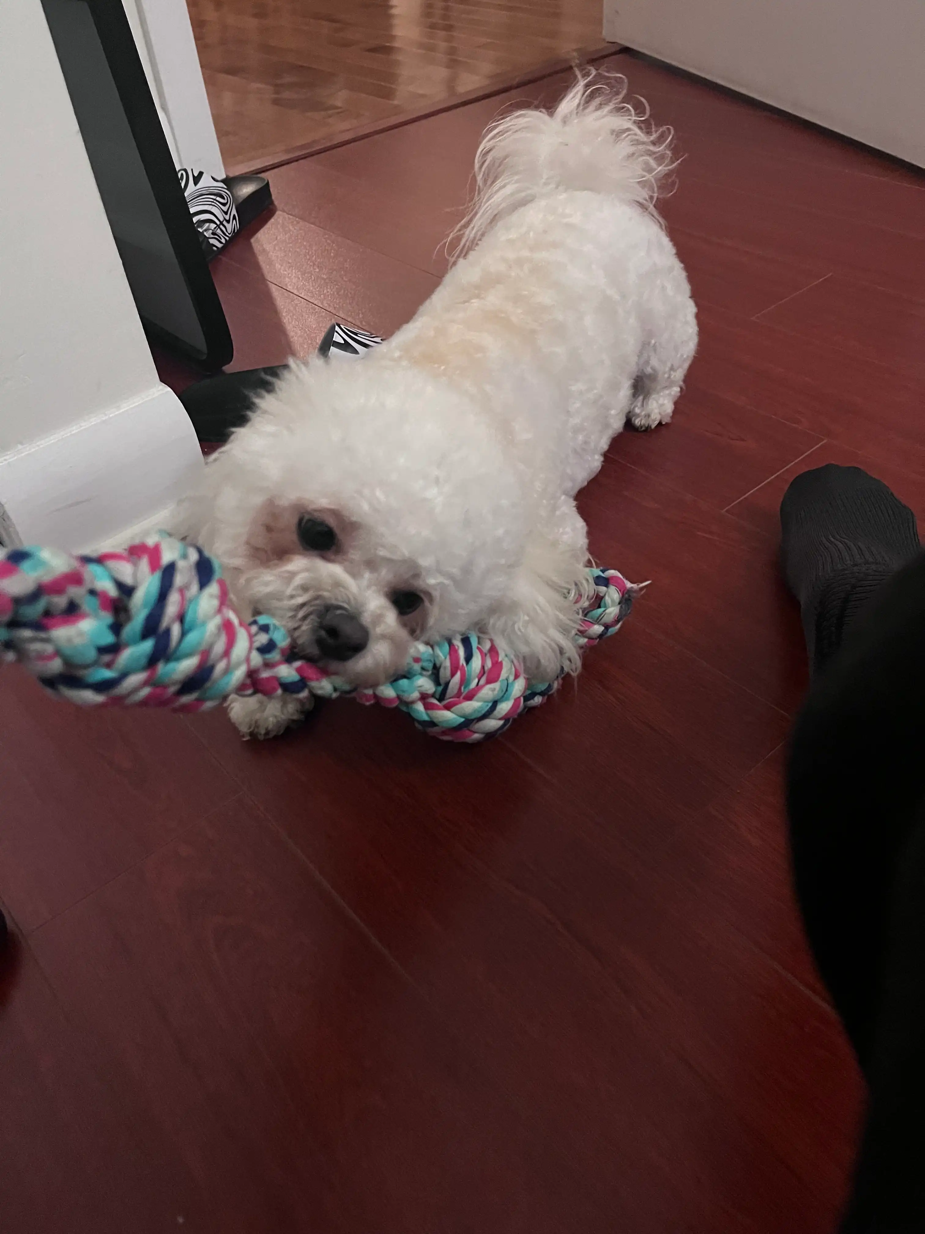 image-10