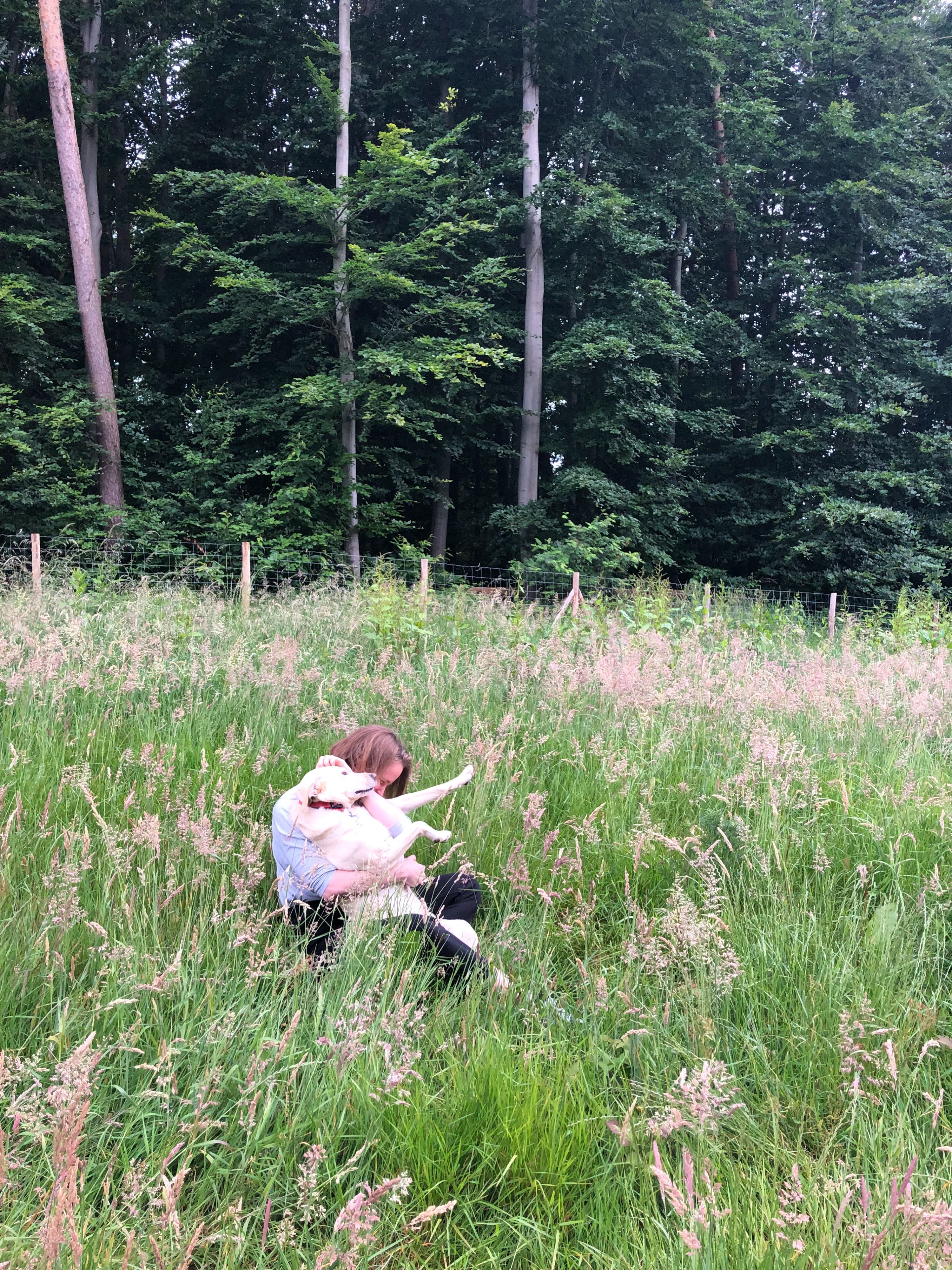 image-4