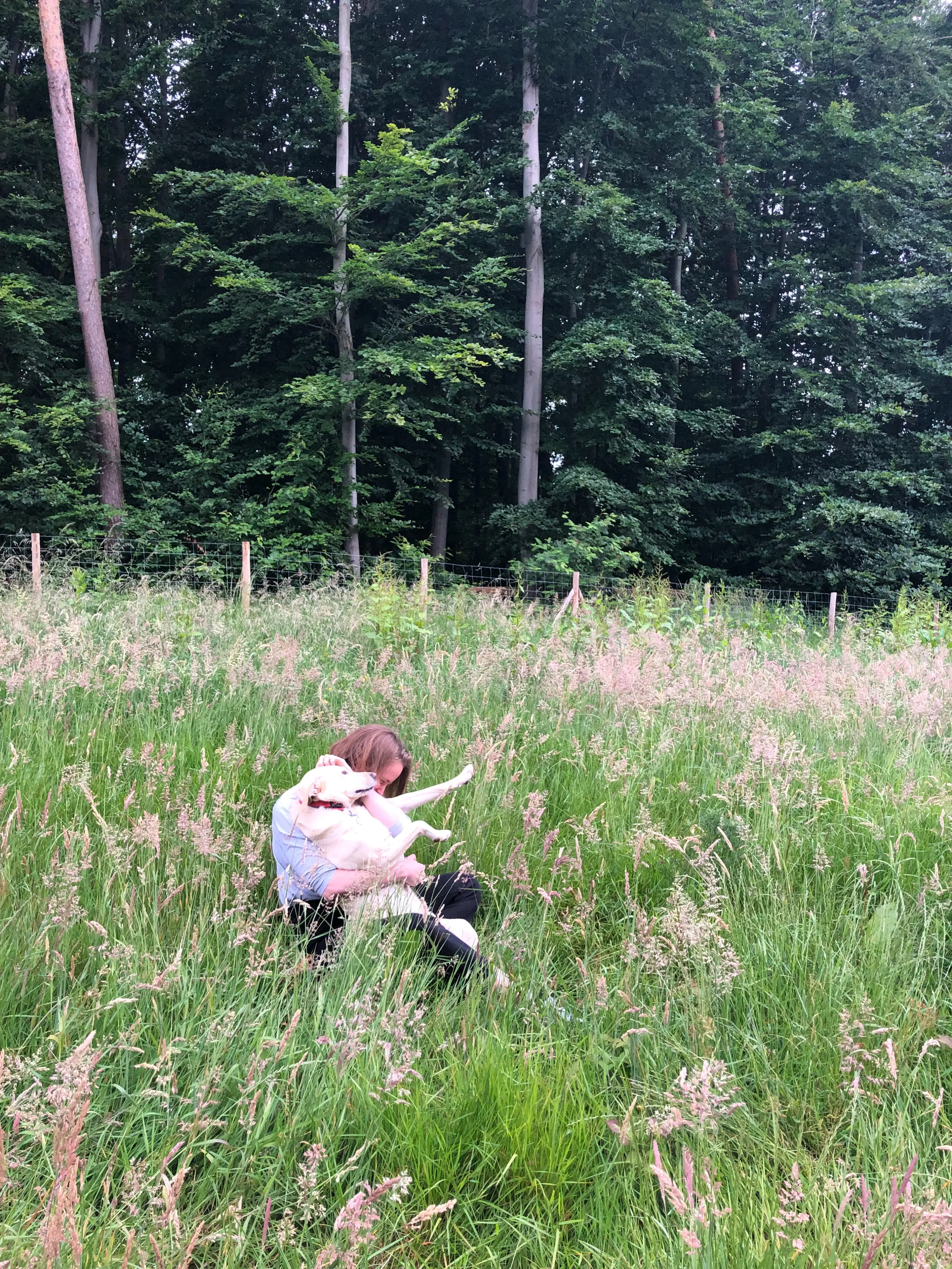 image-4
