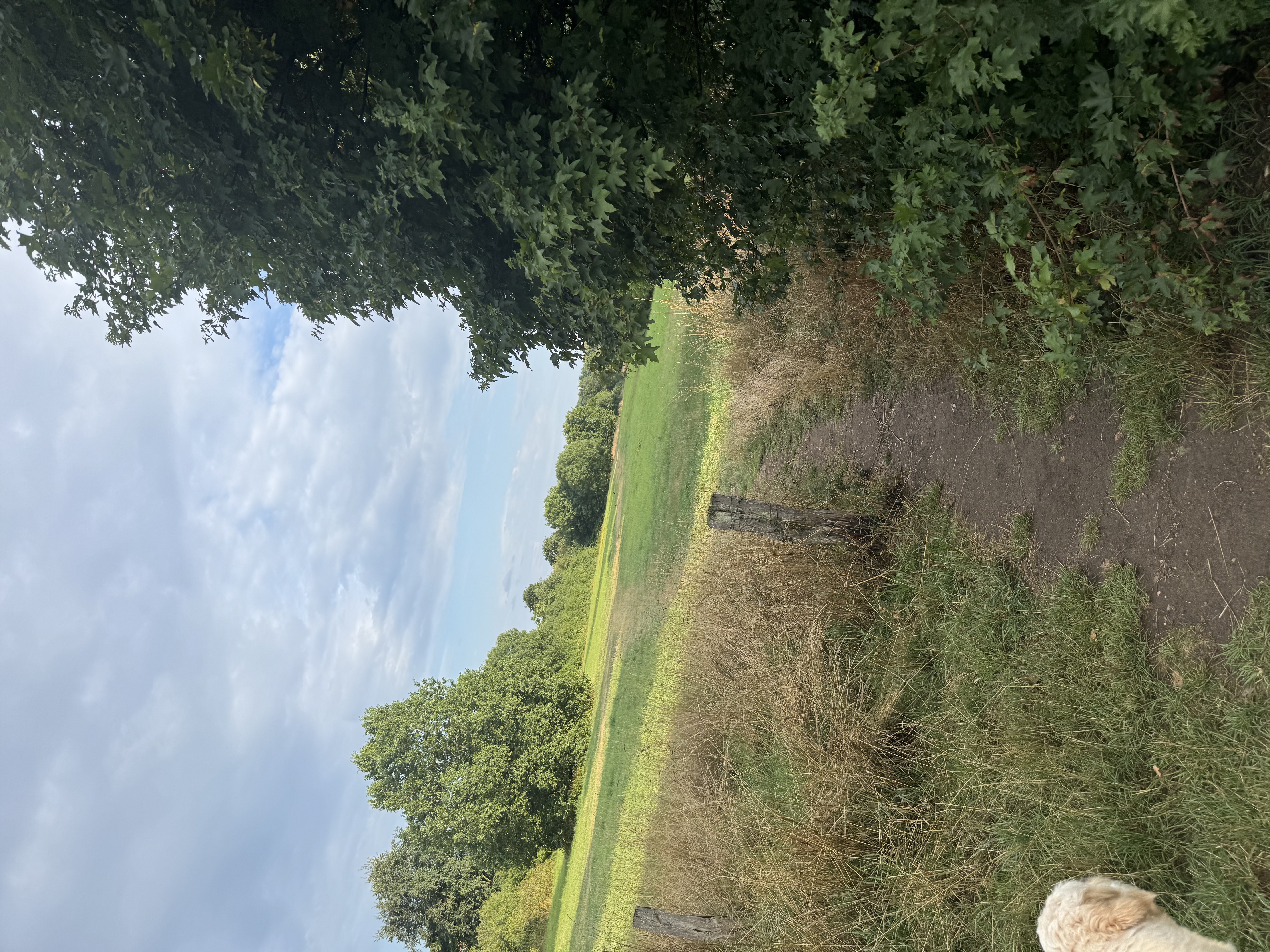 image-20