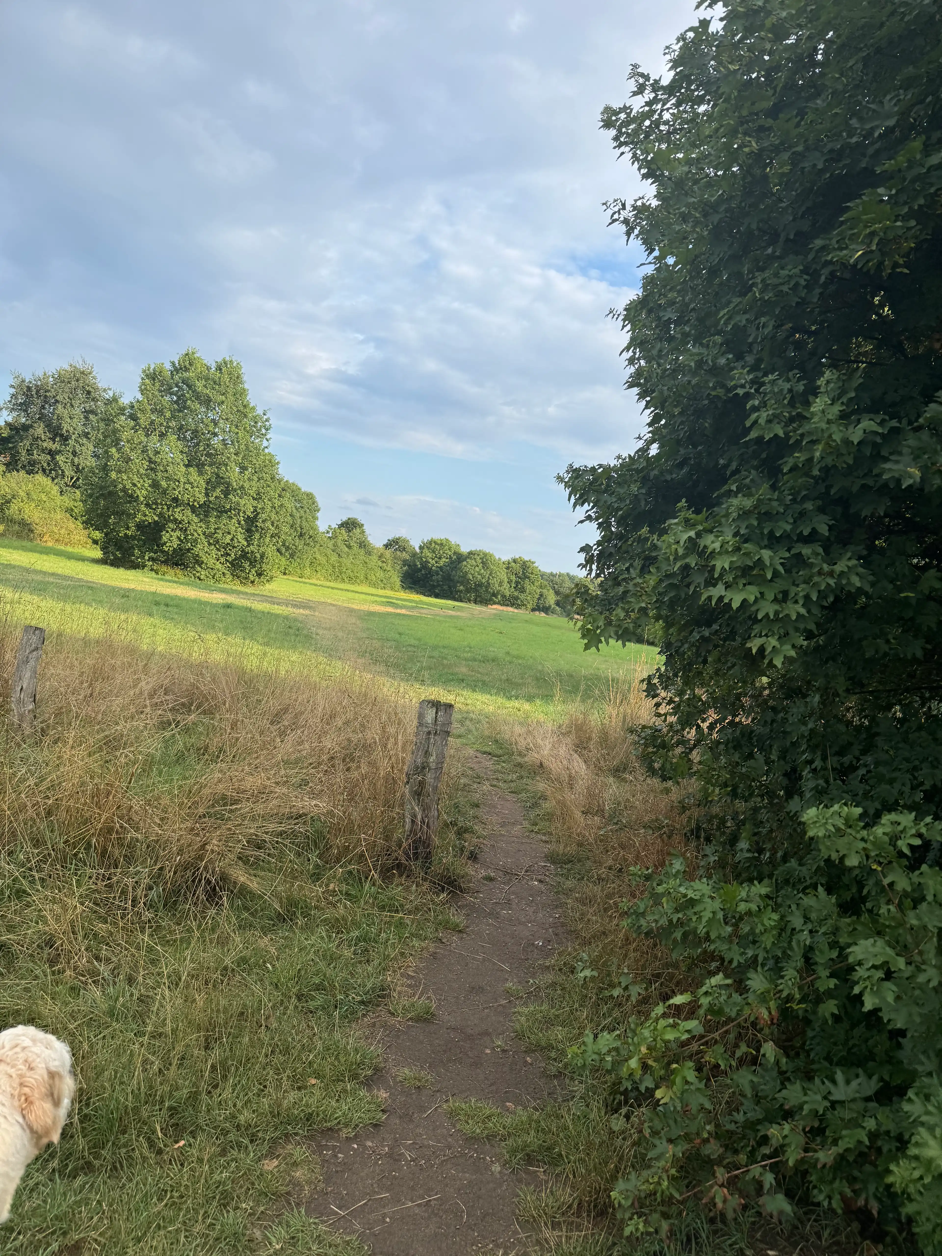 image-20