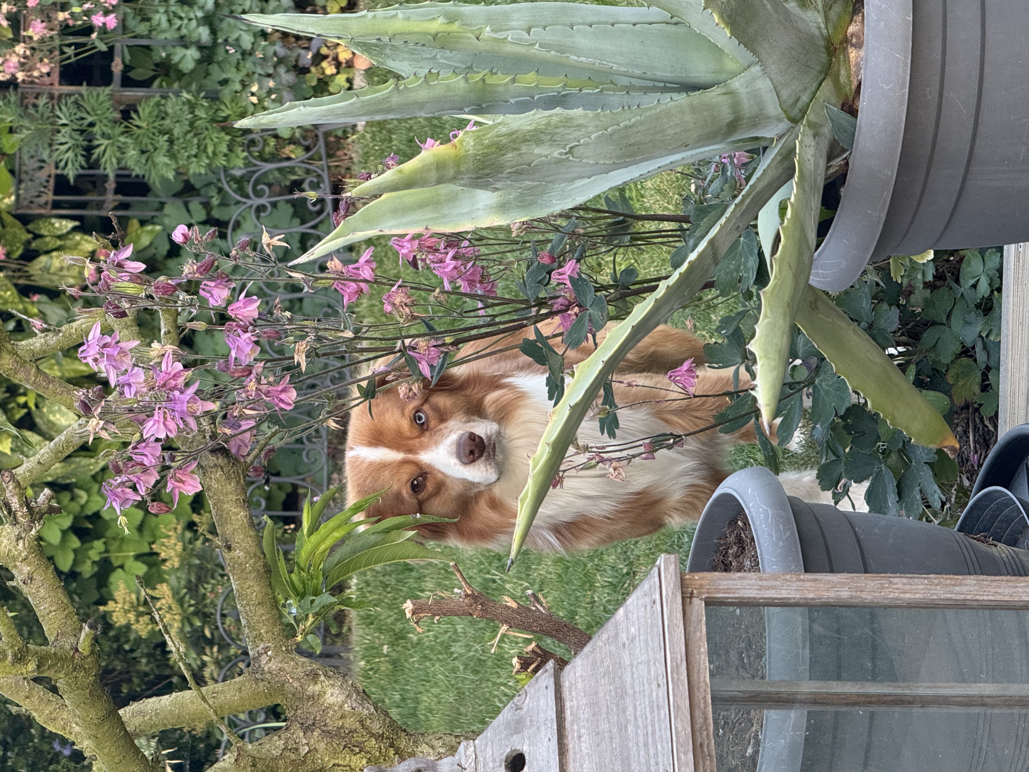 image-12