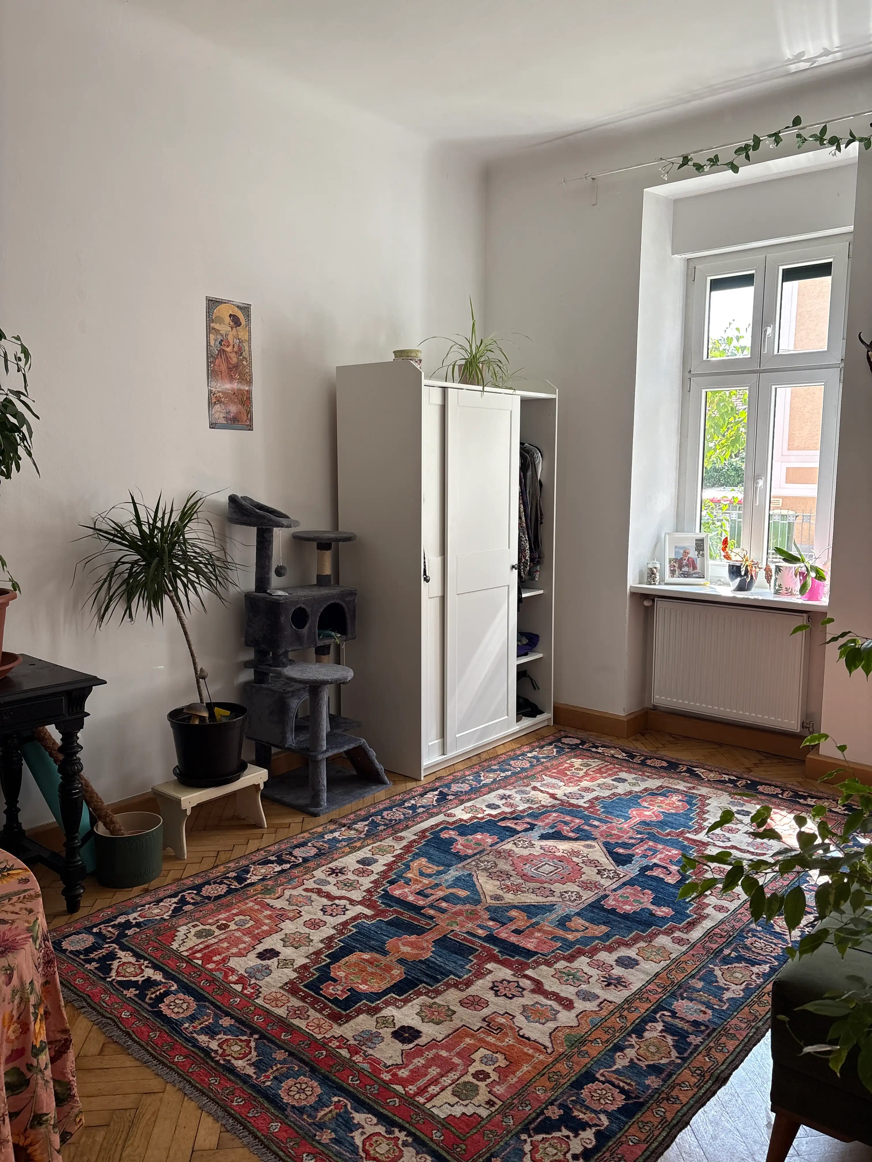 image-18