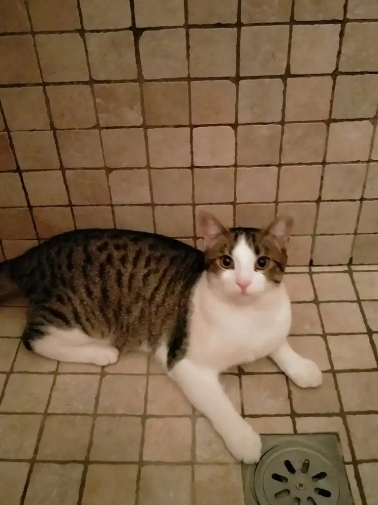 image-6