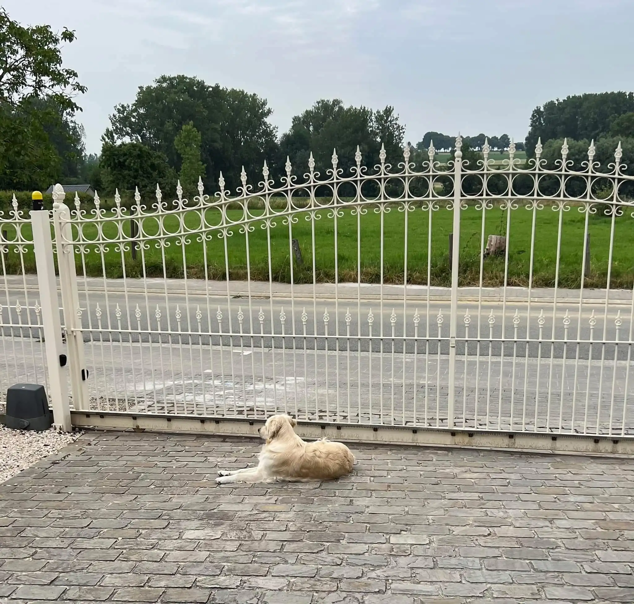 image-18