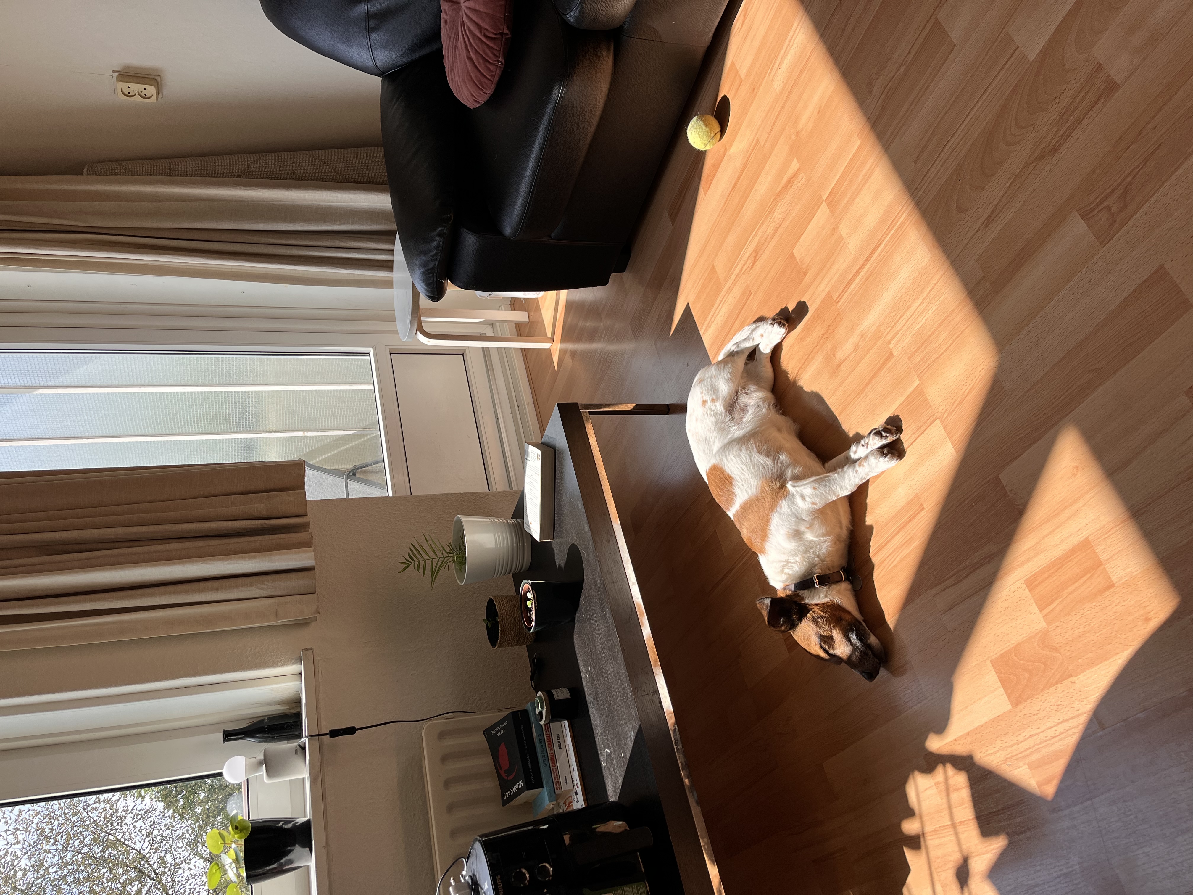 image-41