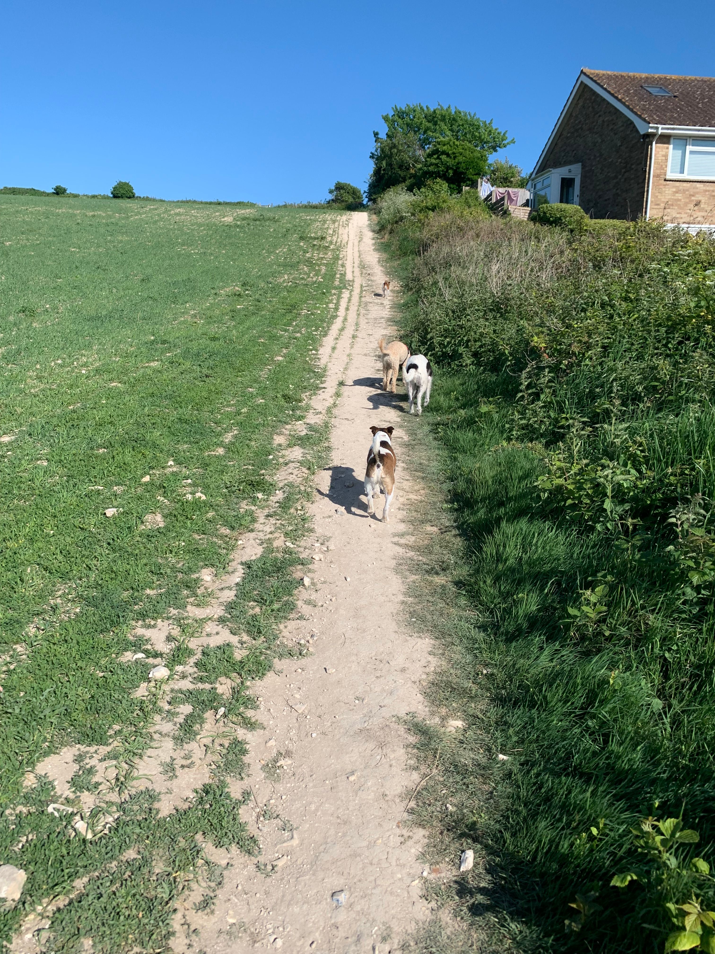 image-11