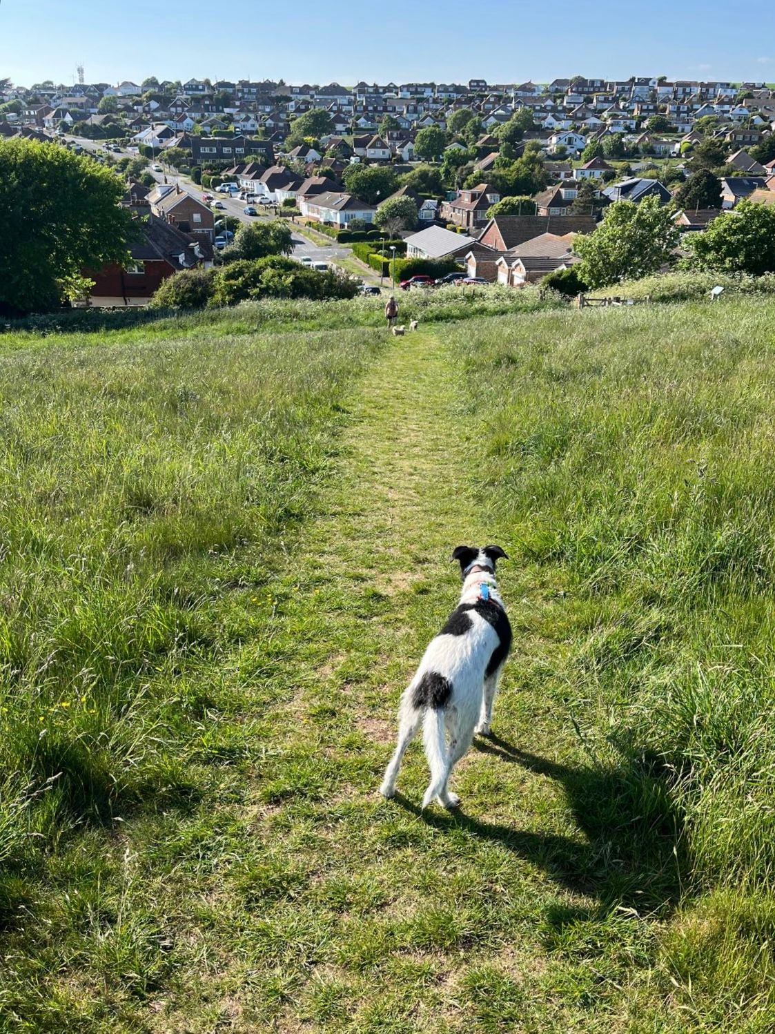 image-8