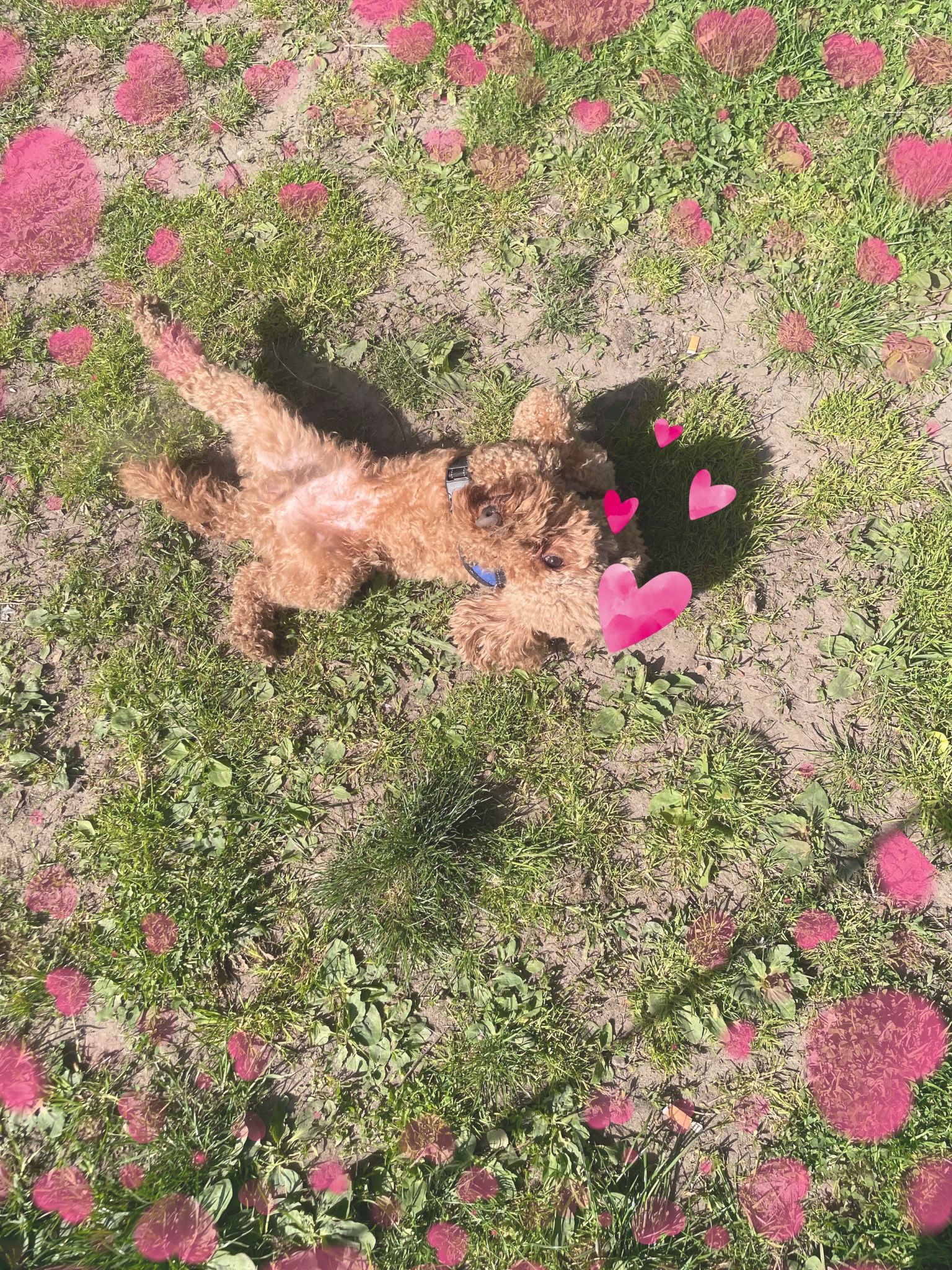 image-6