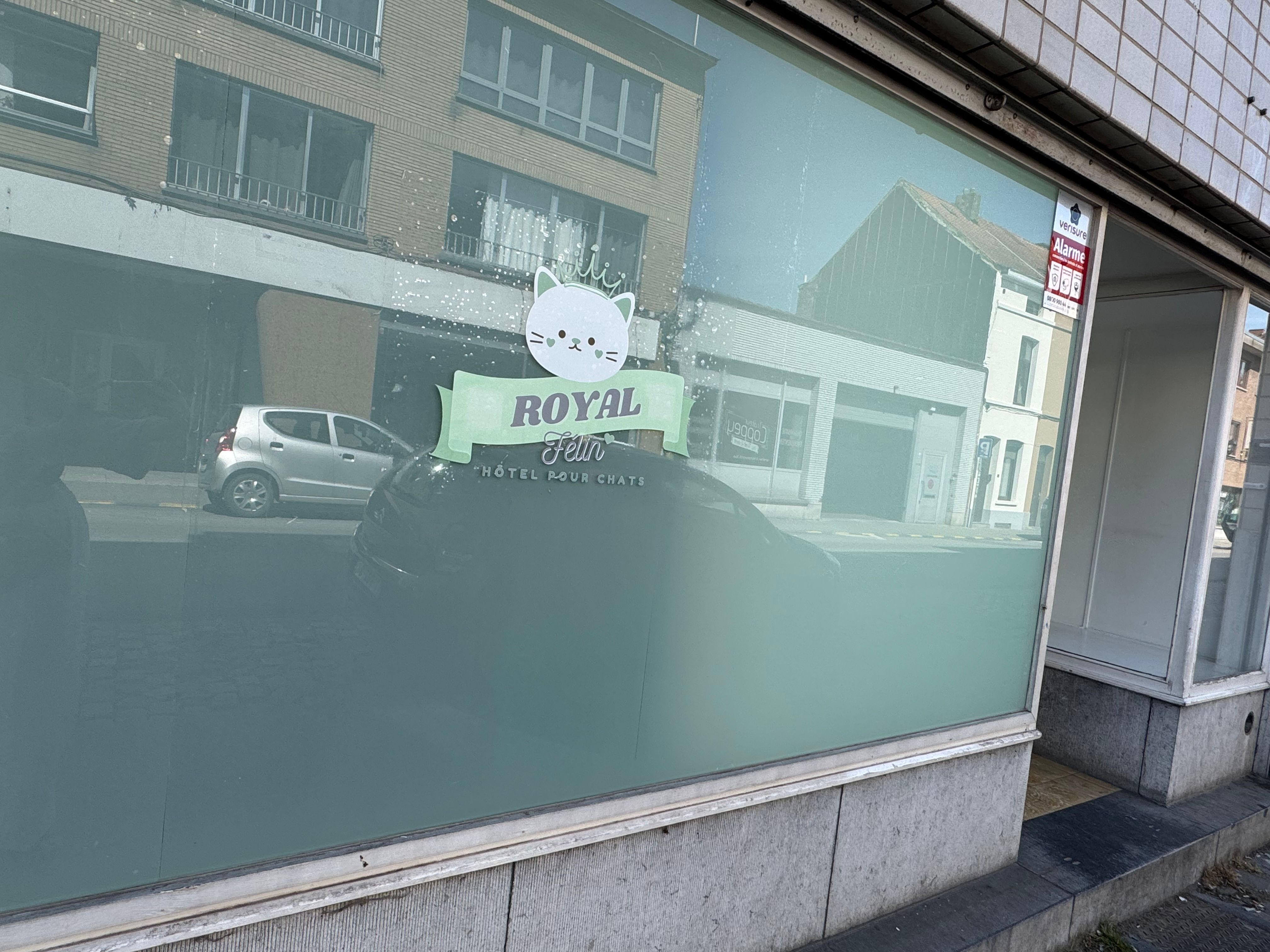 image-7