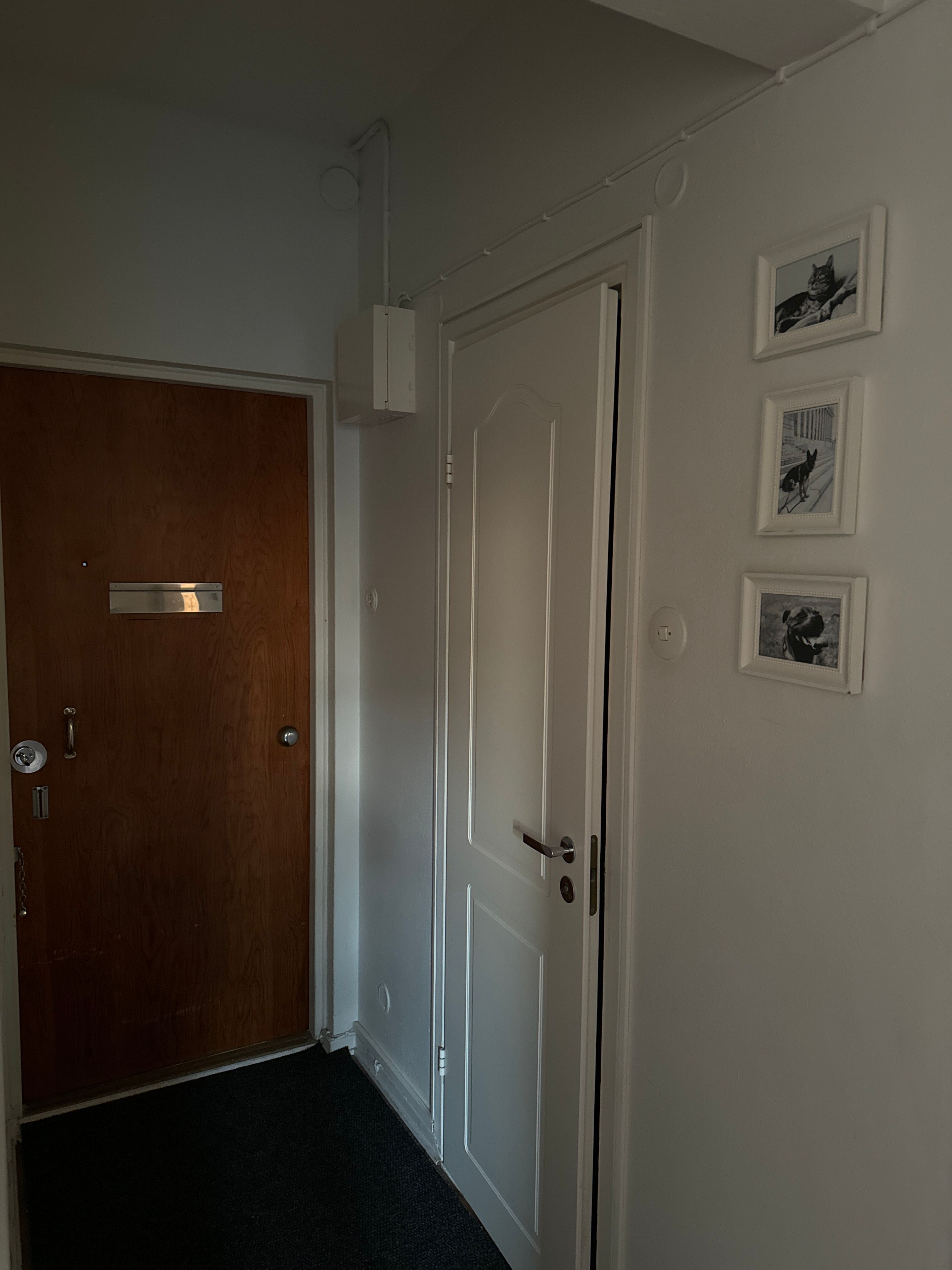 image-20