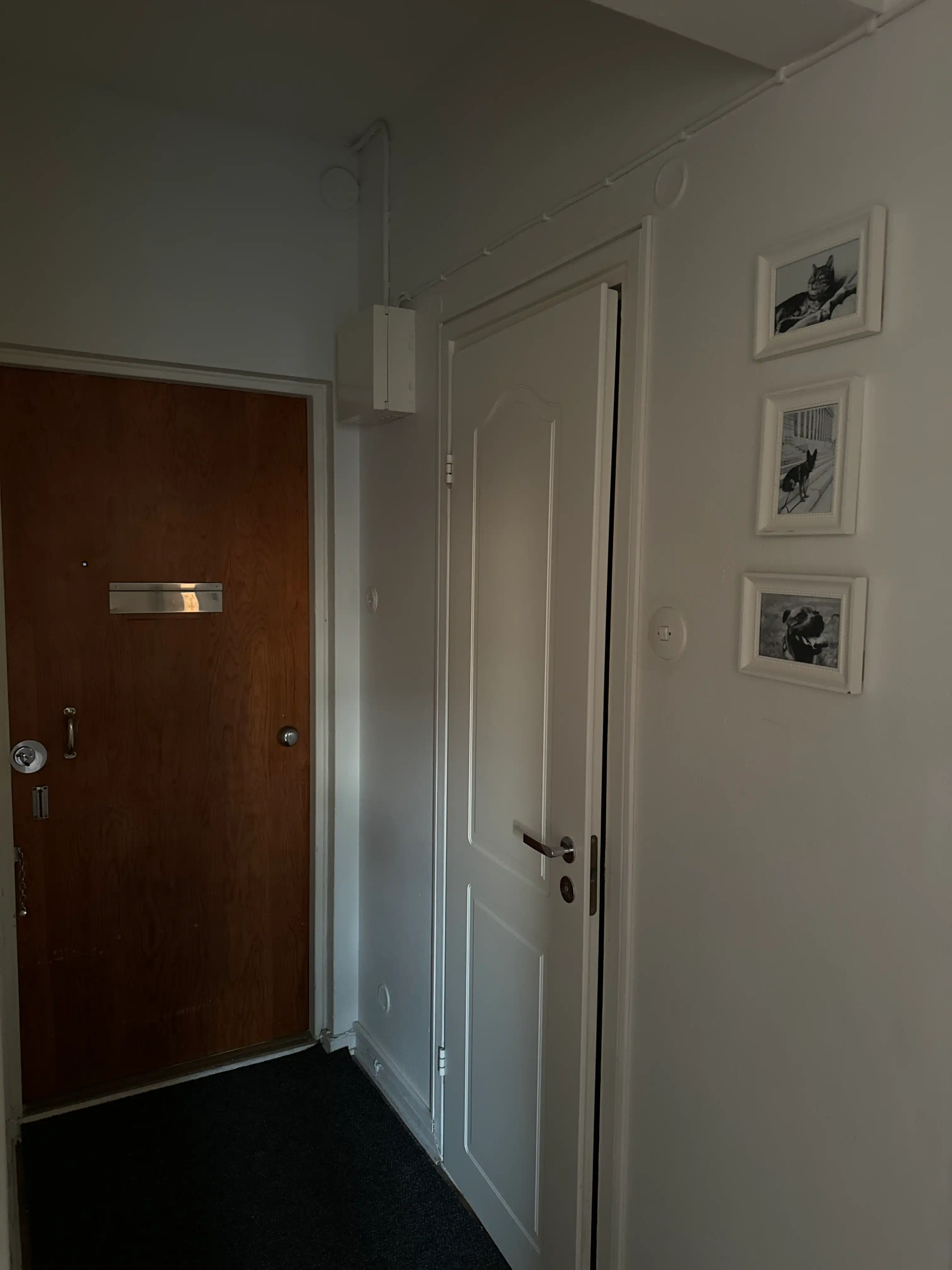 image-20
