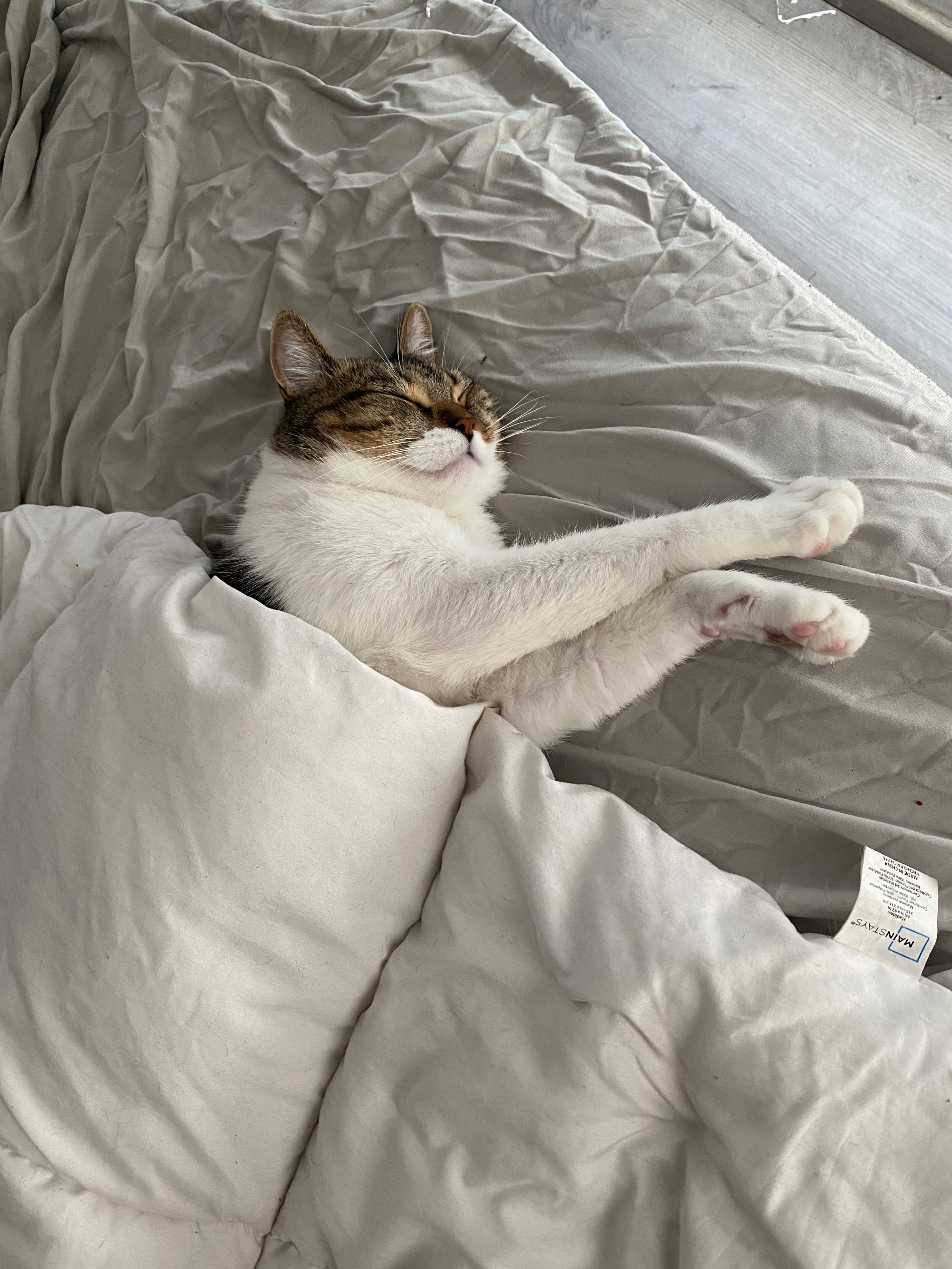 image-6