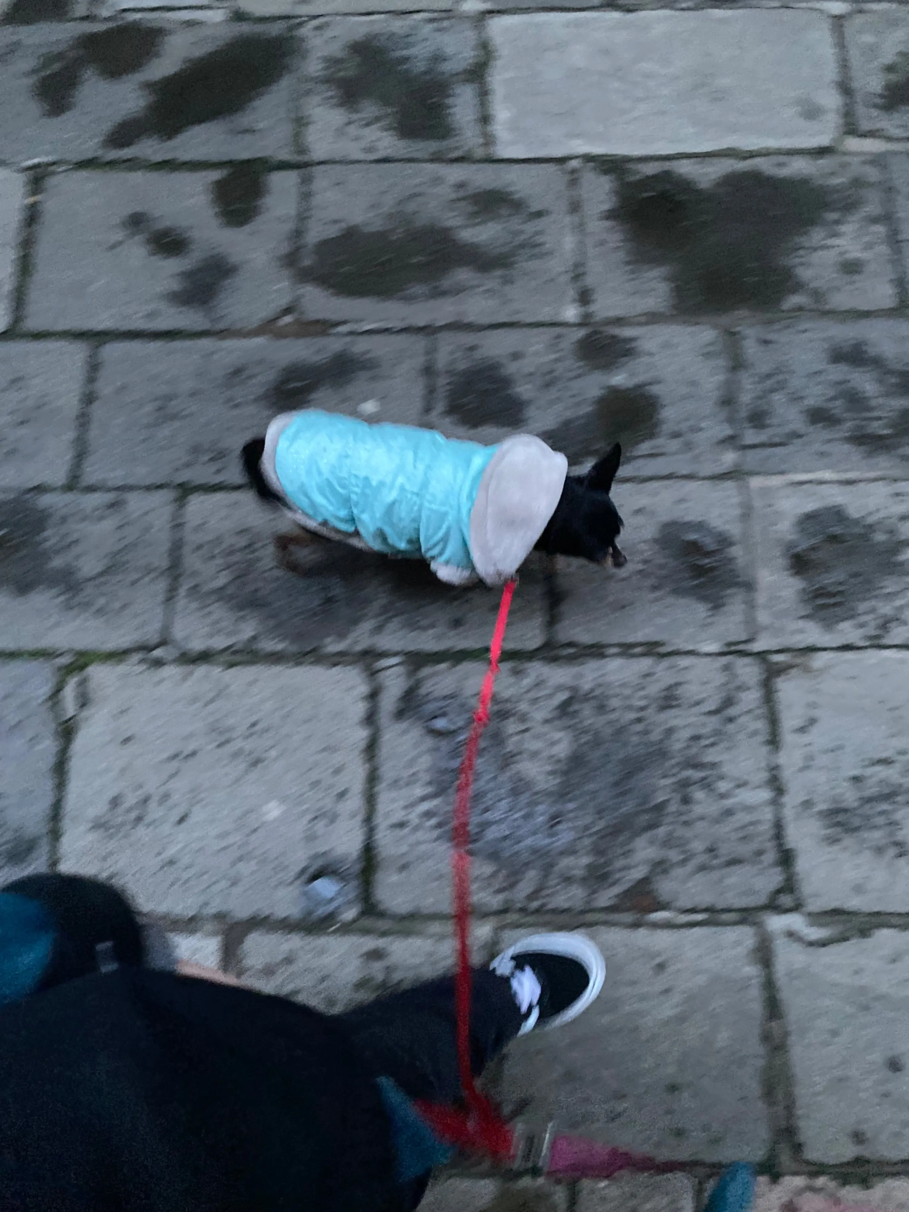 image-4