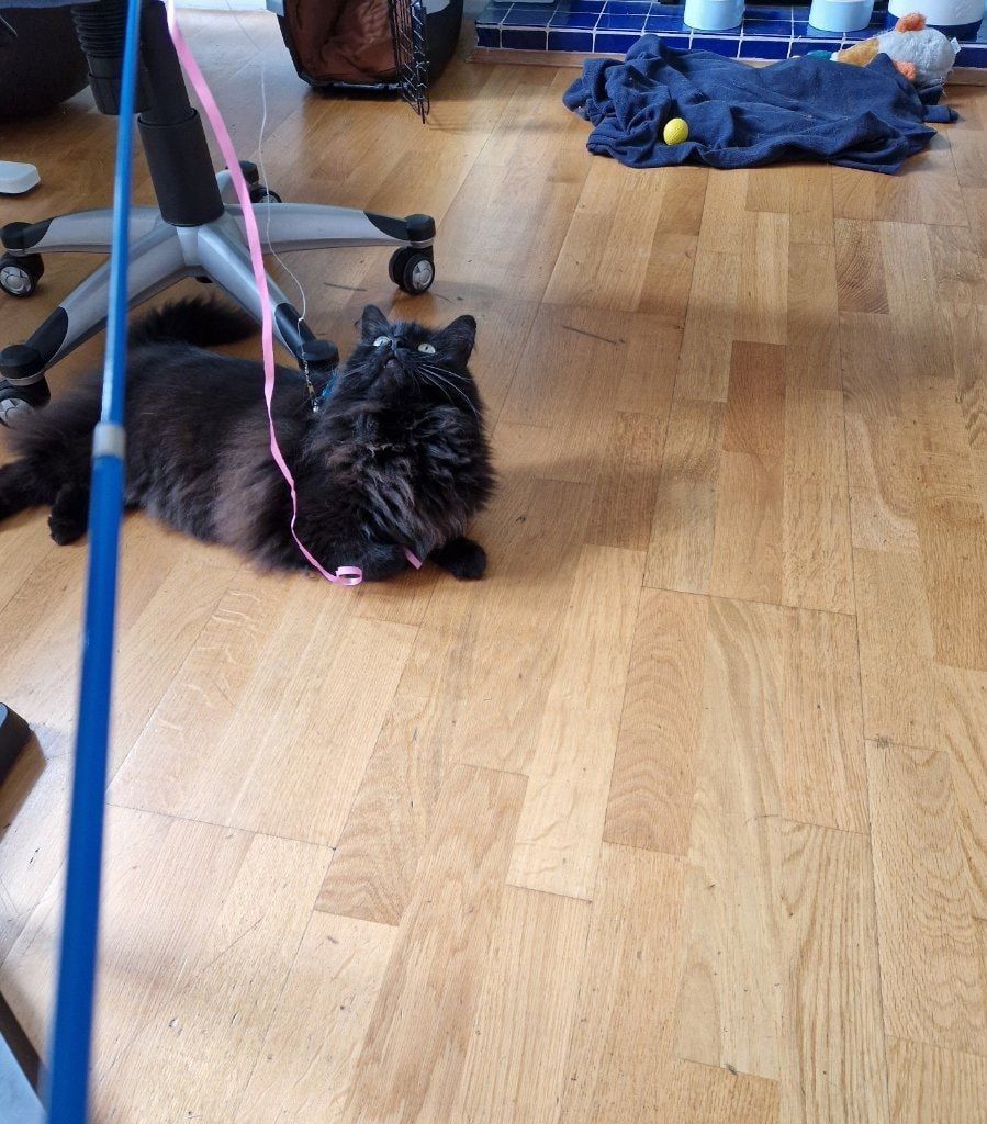 image-37