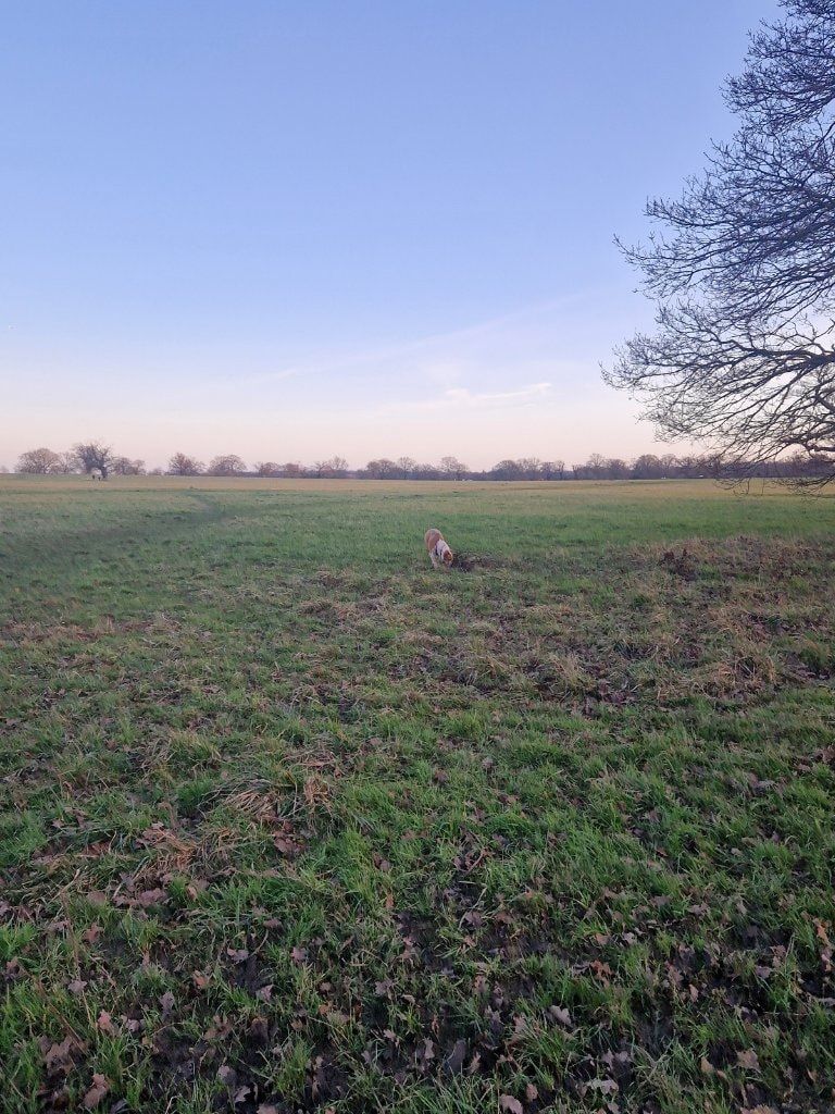 image-13