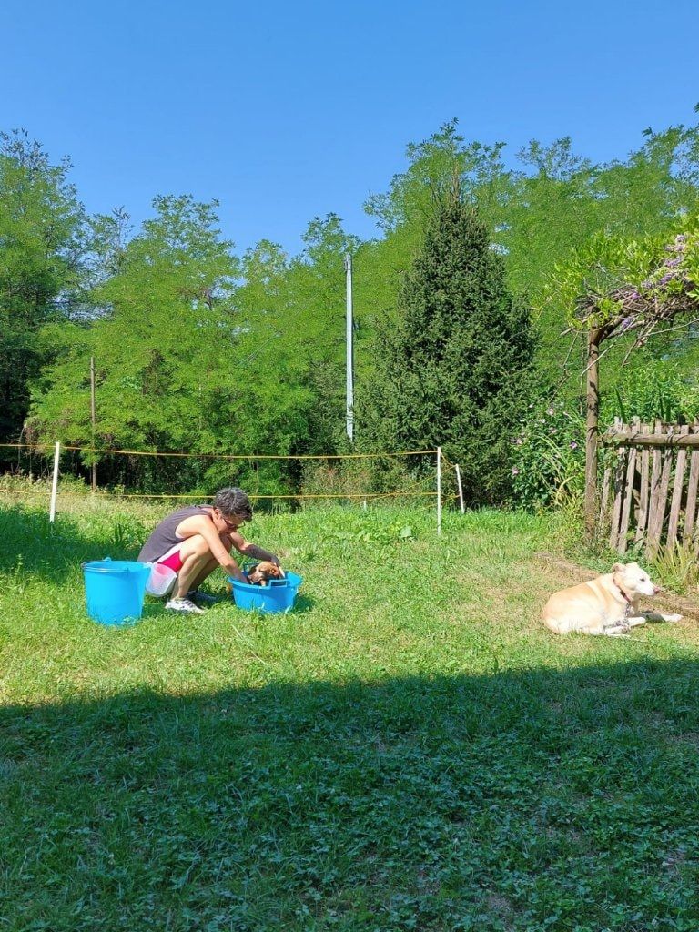 image-4
