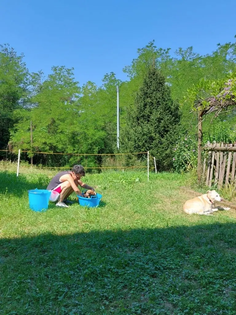 image-4