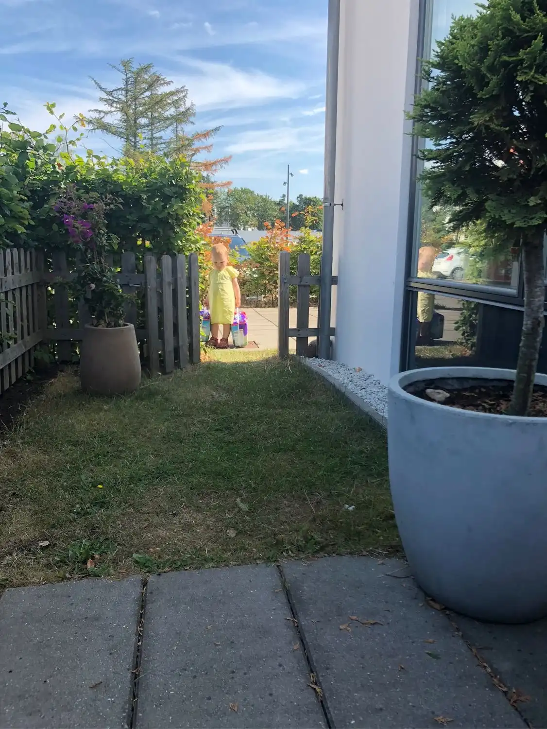 image-7