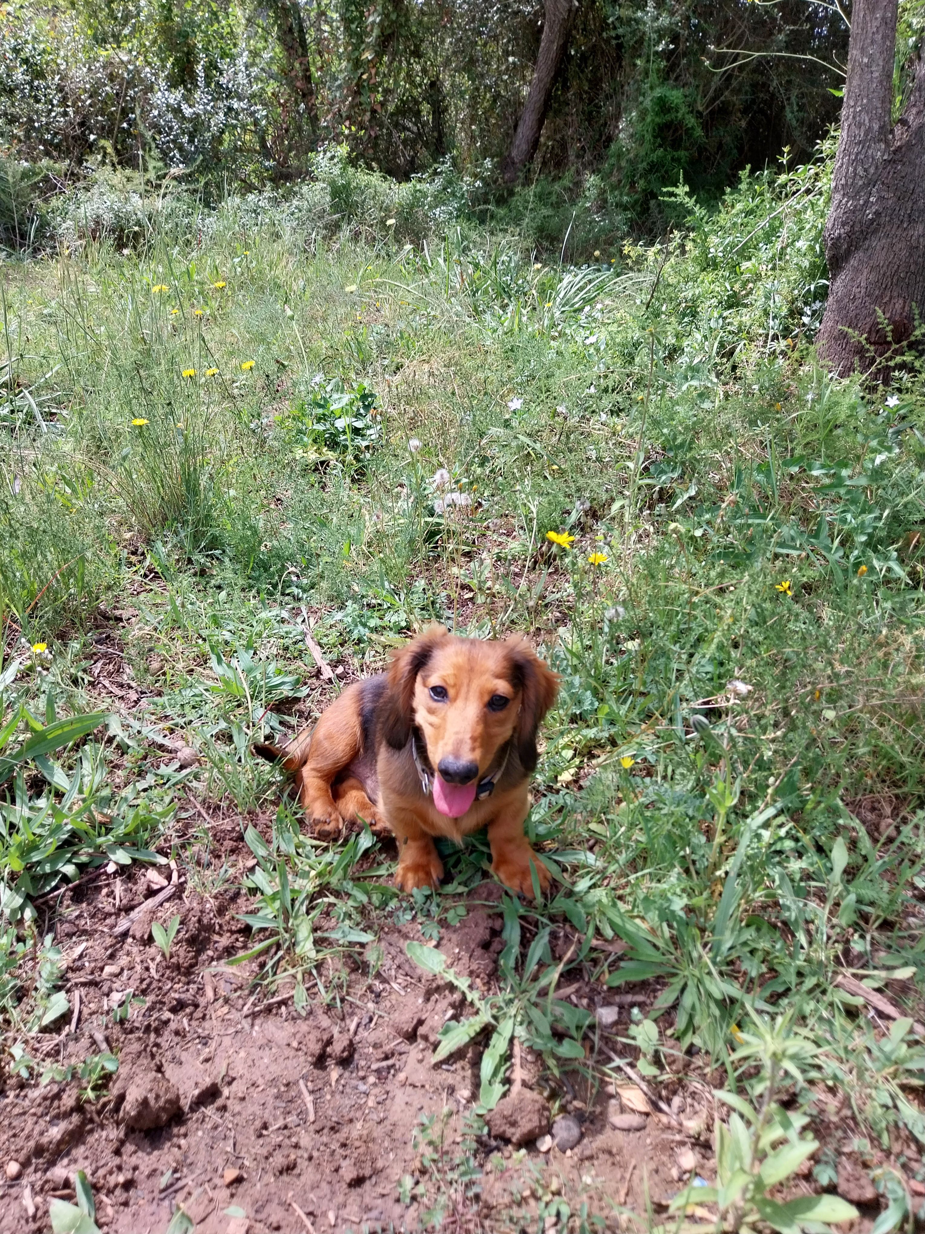 image-6