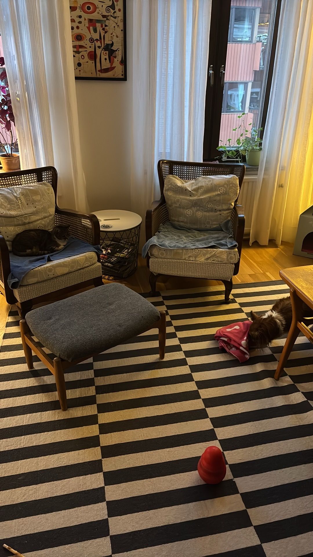 image-11