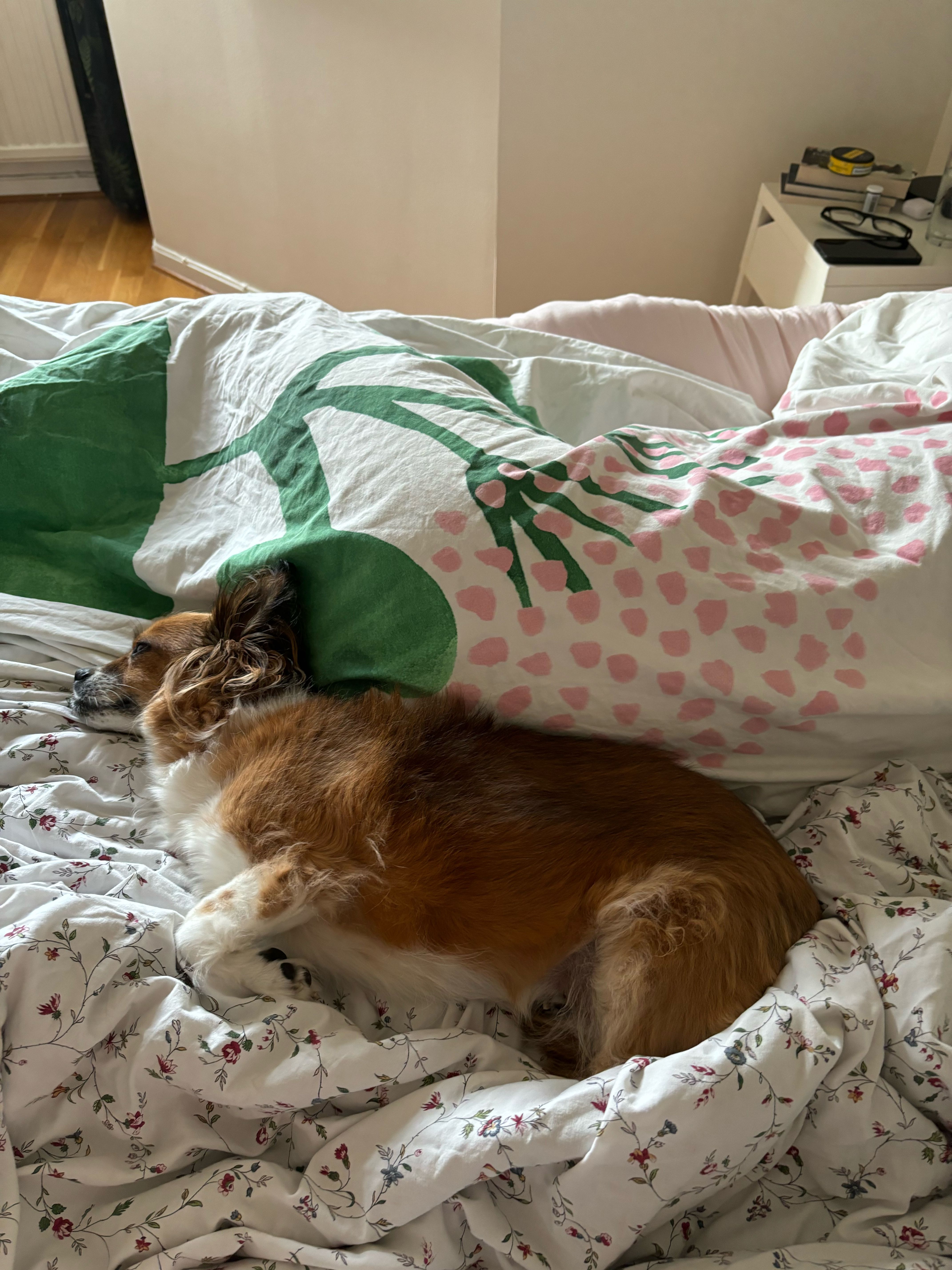 image-13