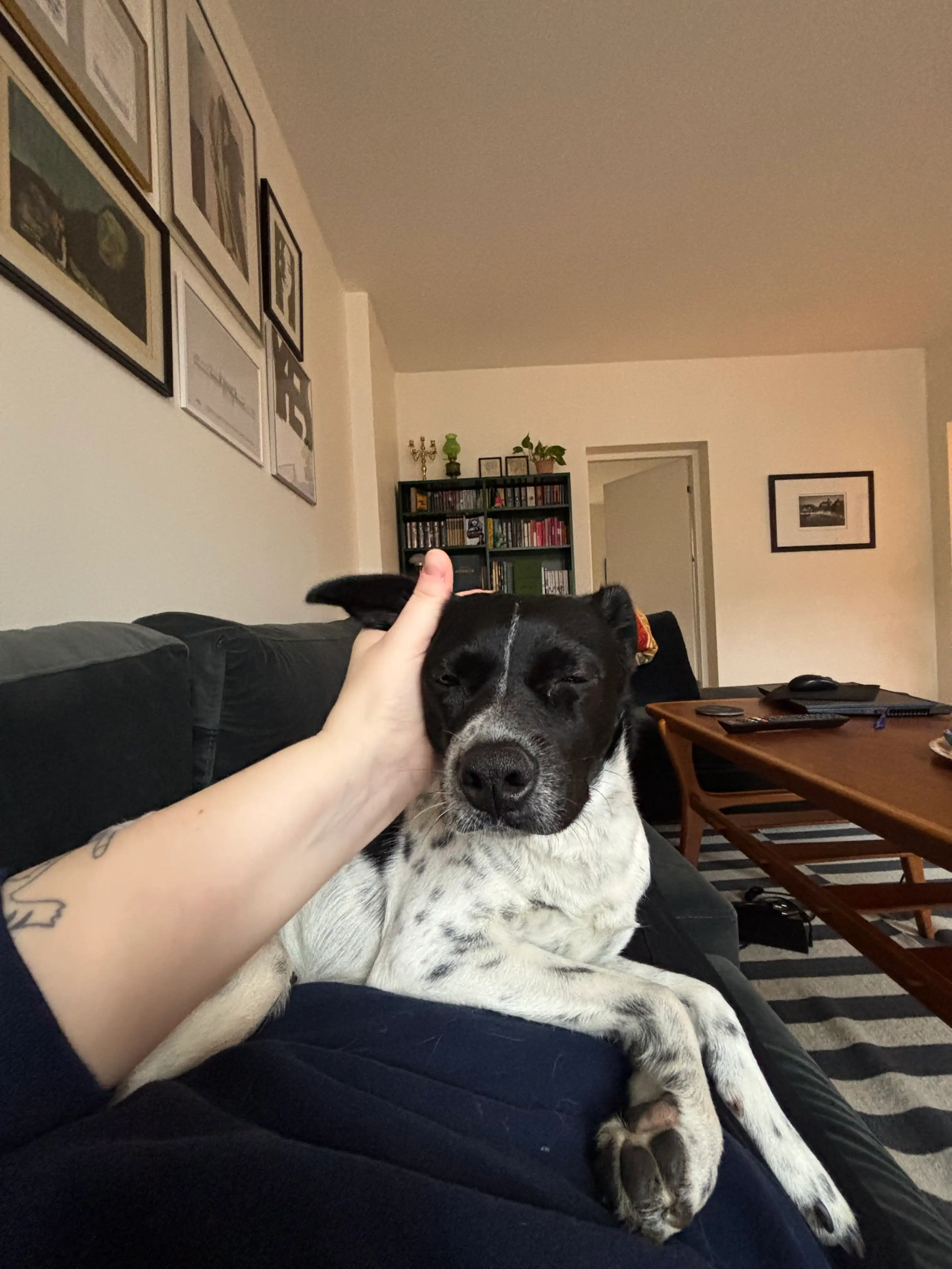 image-10