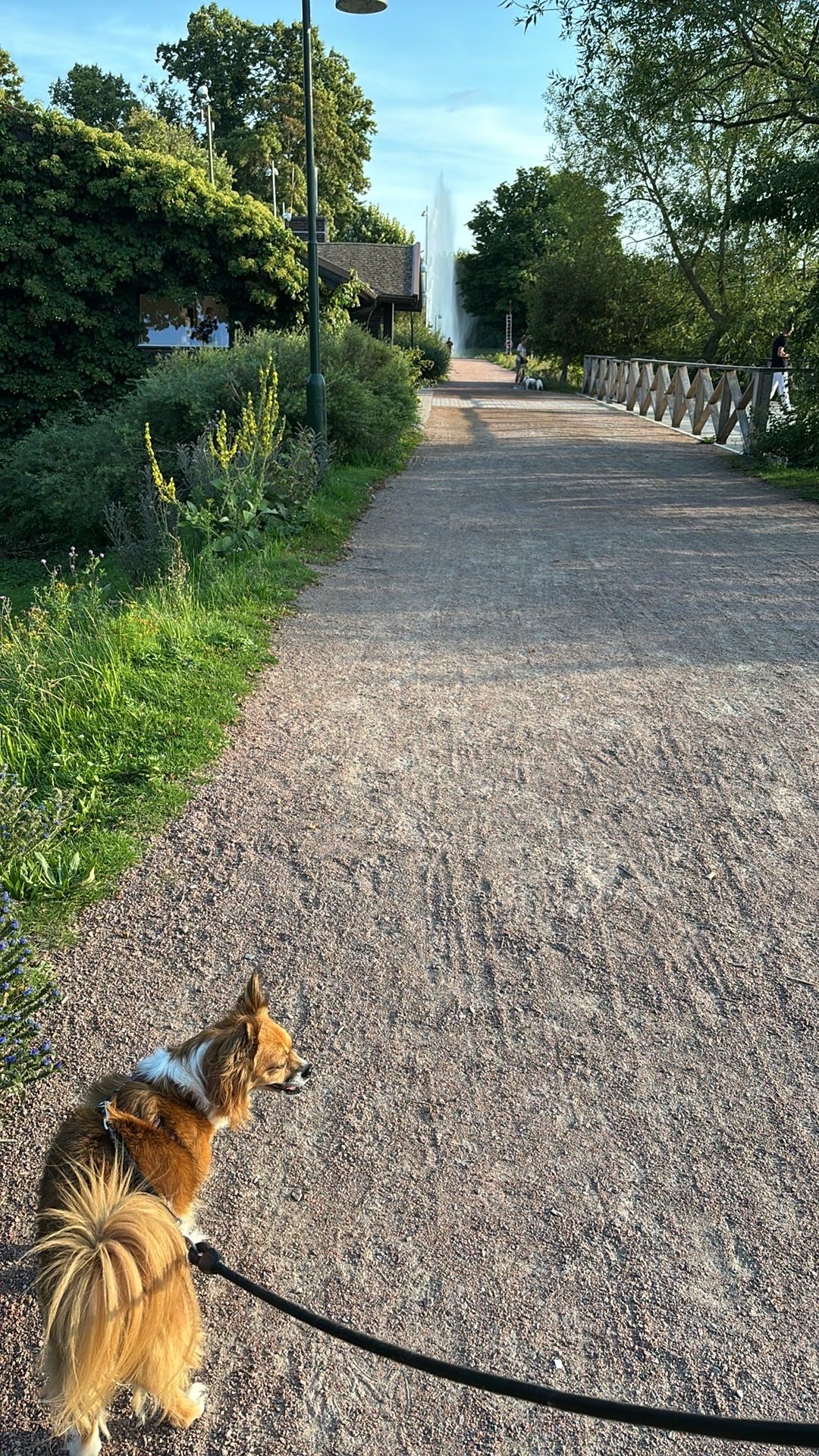 image-14