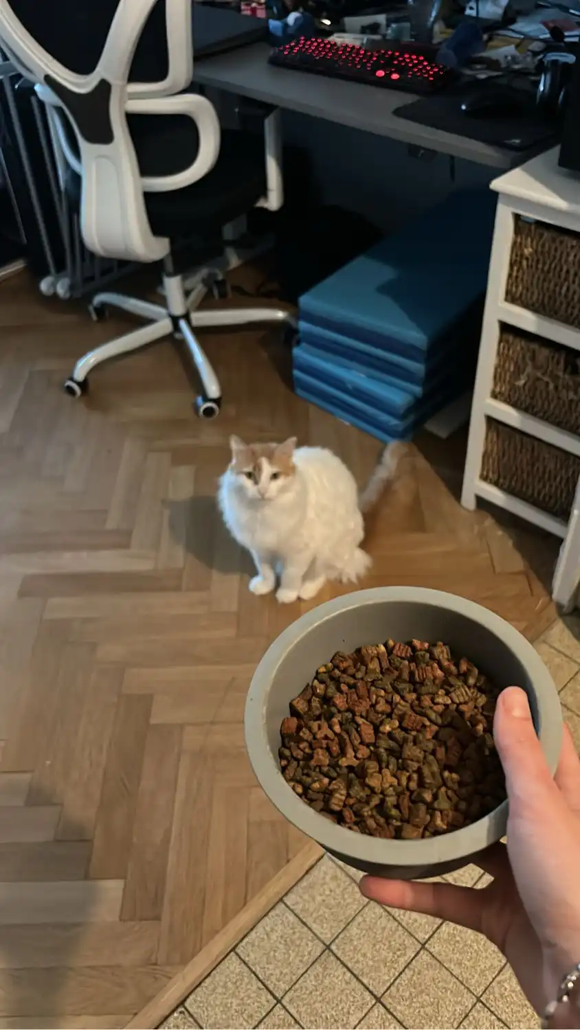 image-8