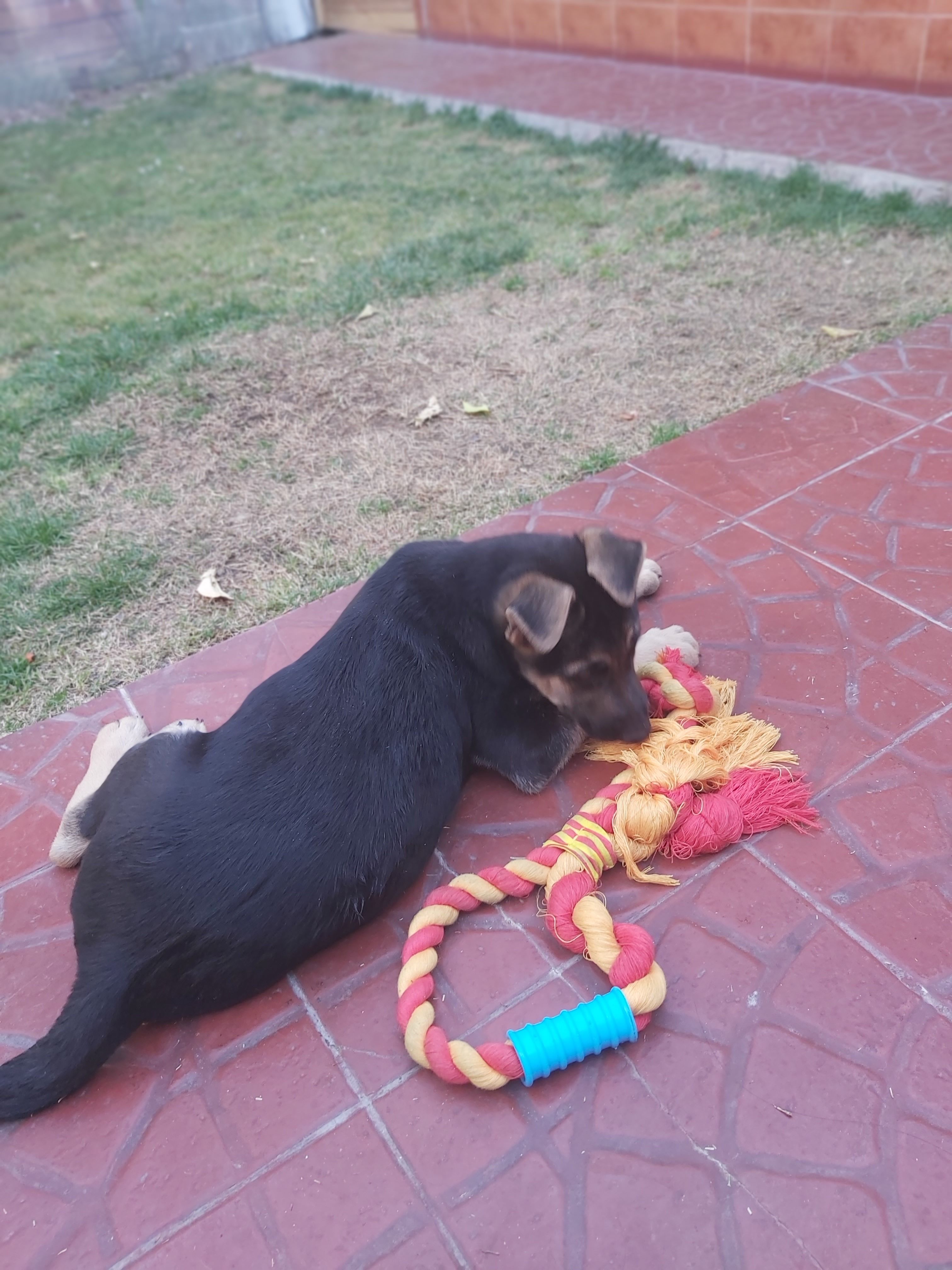 image-16