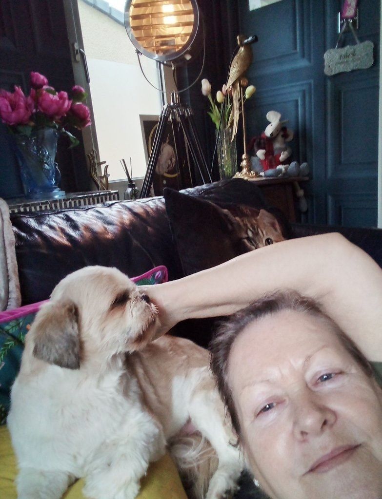 image-10