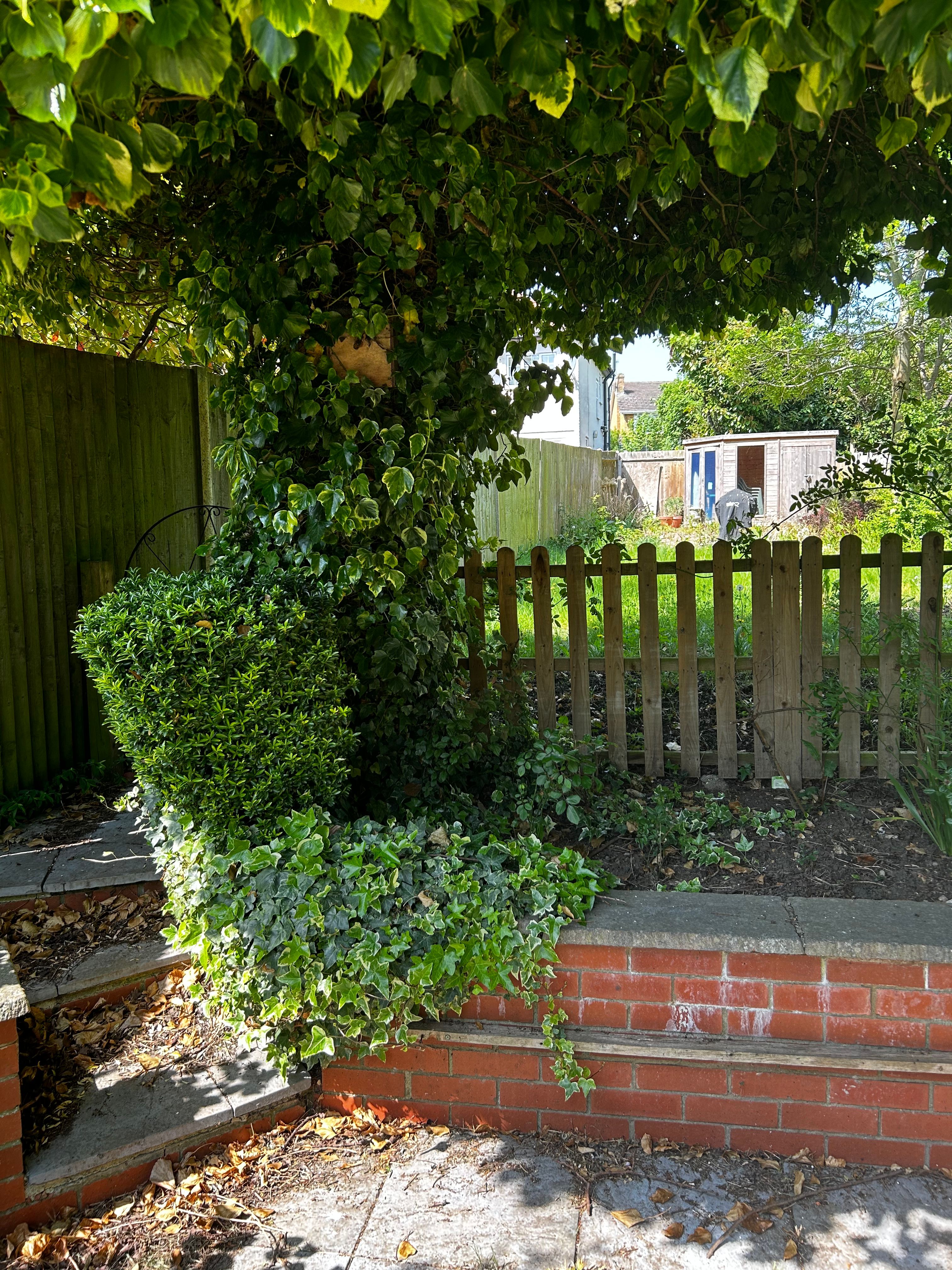 image-15