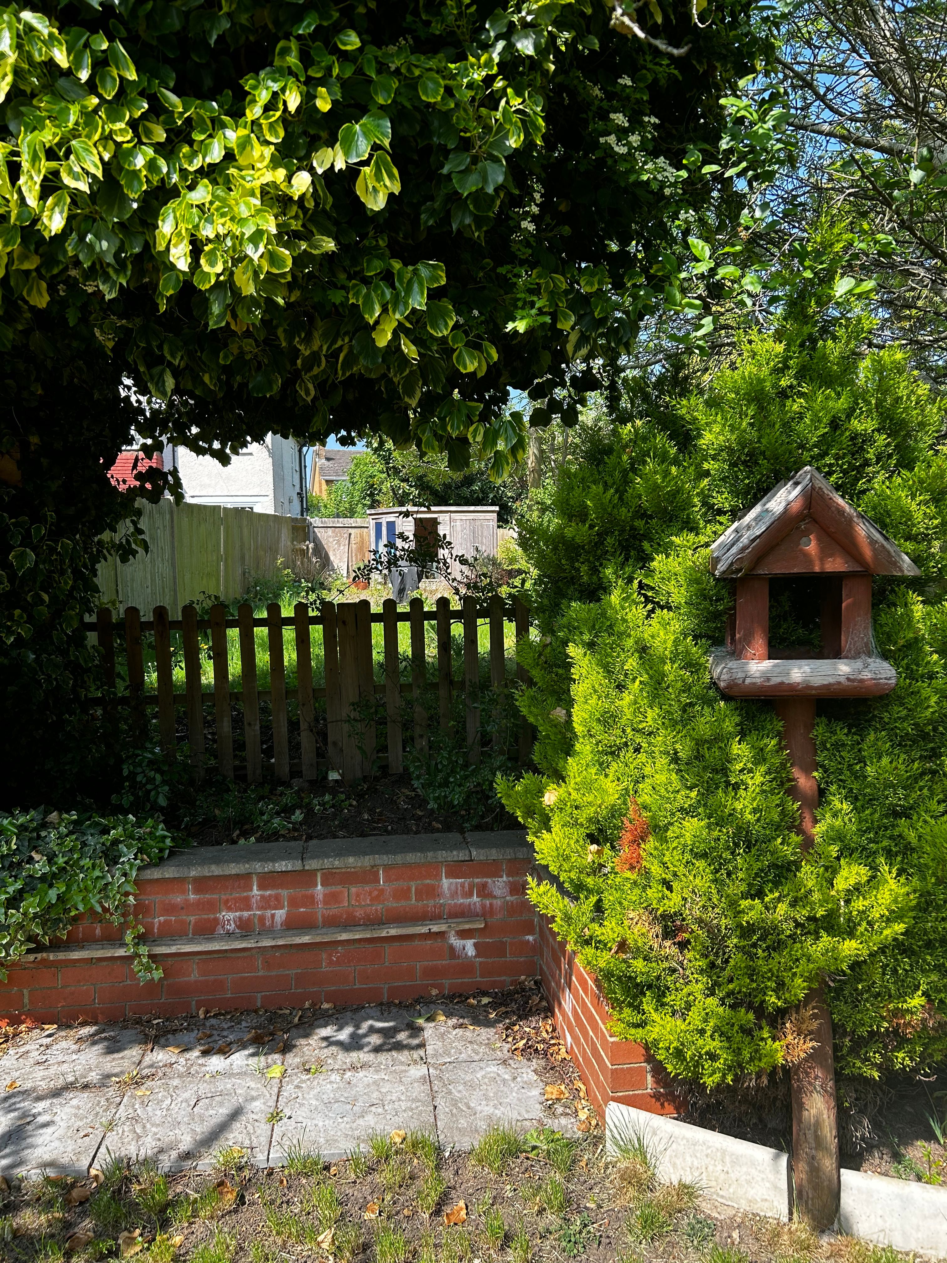 image-14