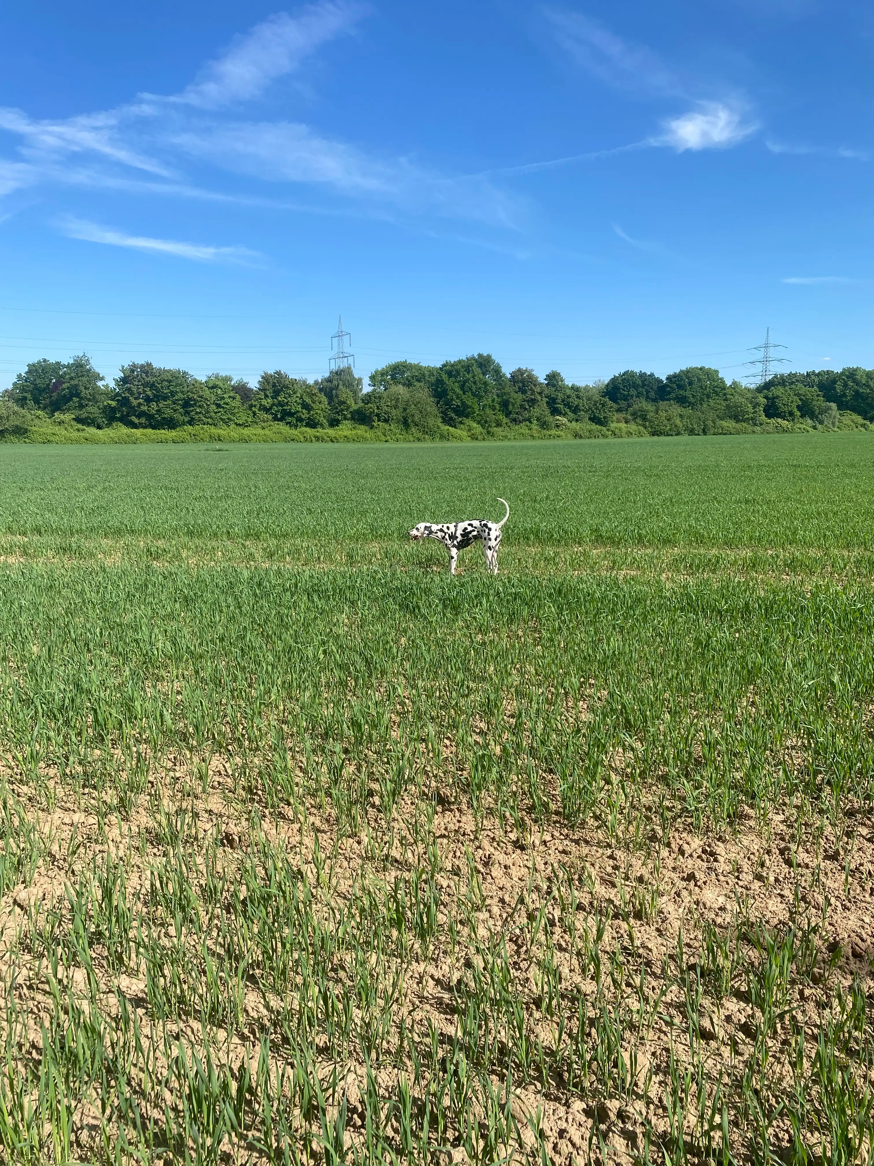 image-20