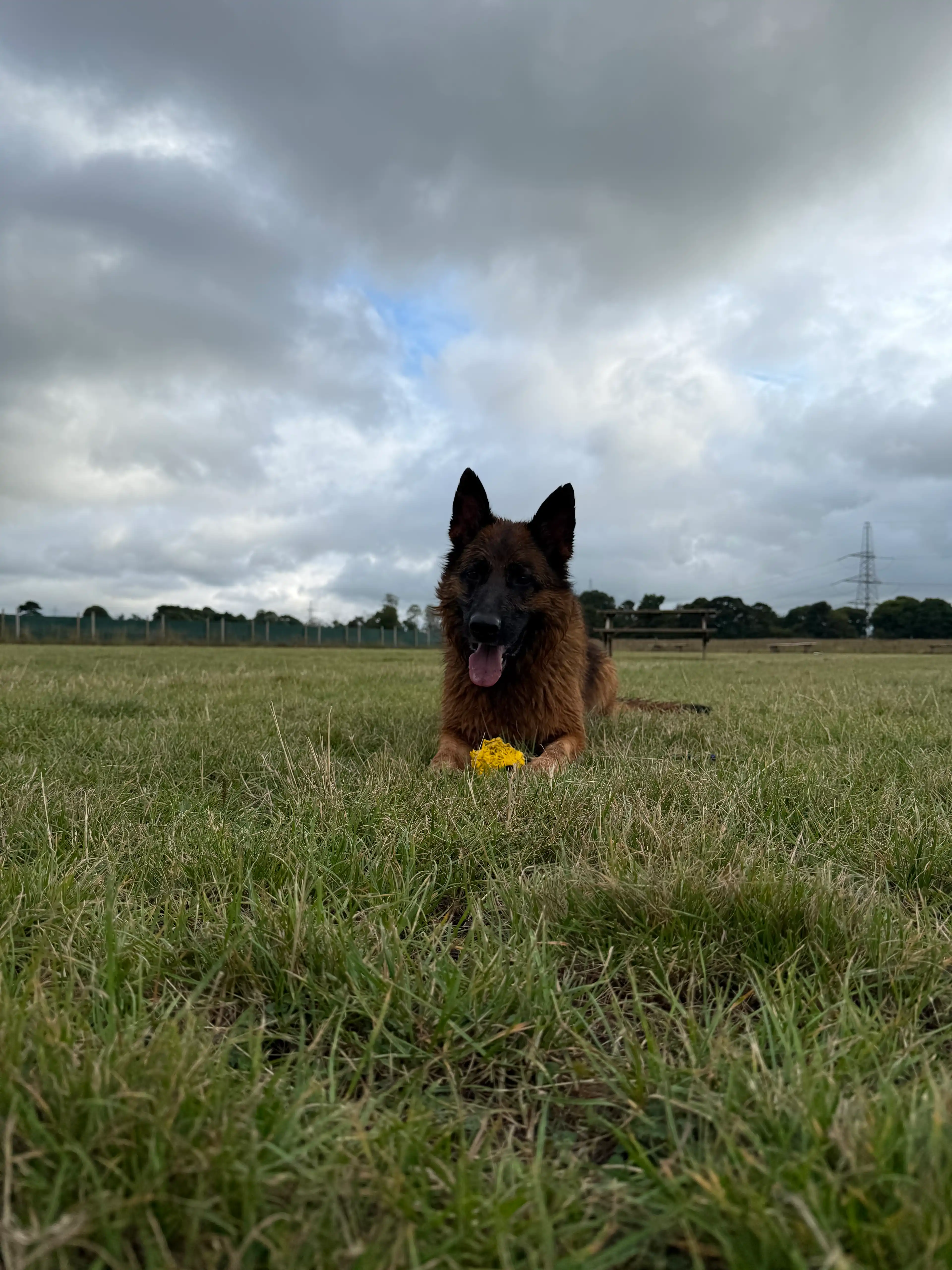 image-12