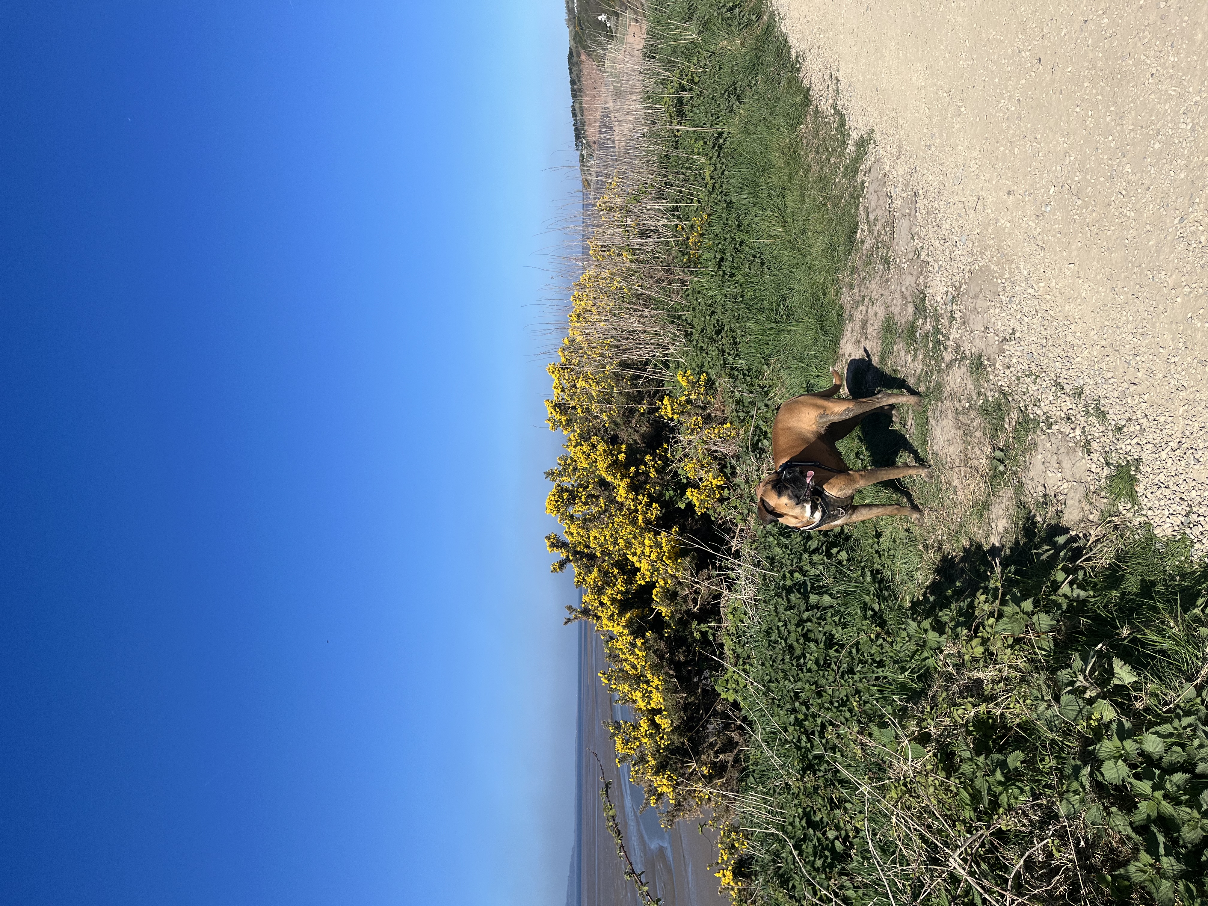 image-9