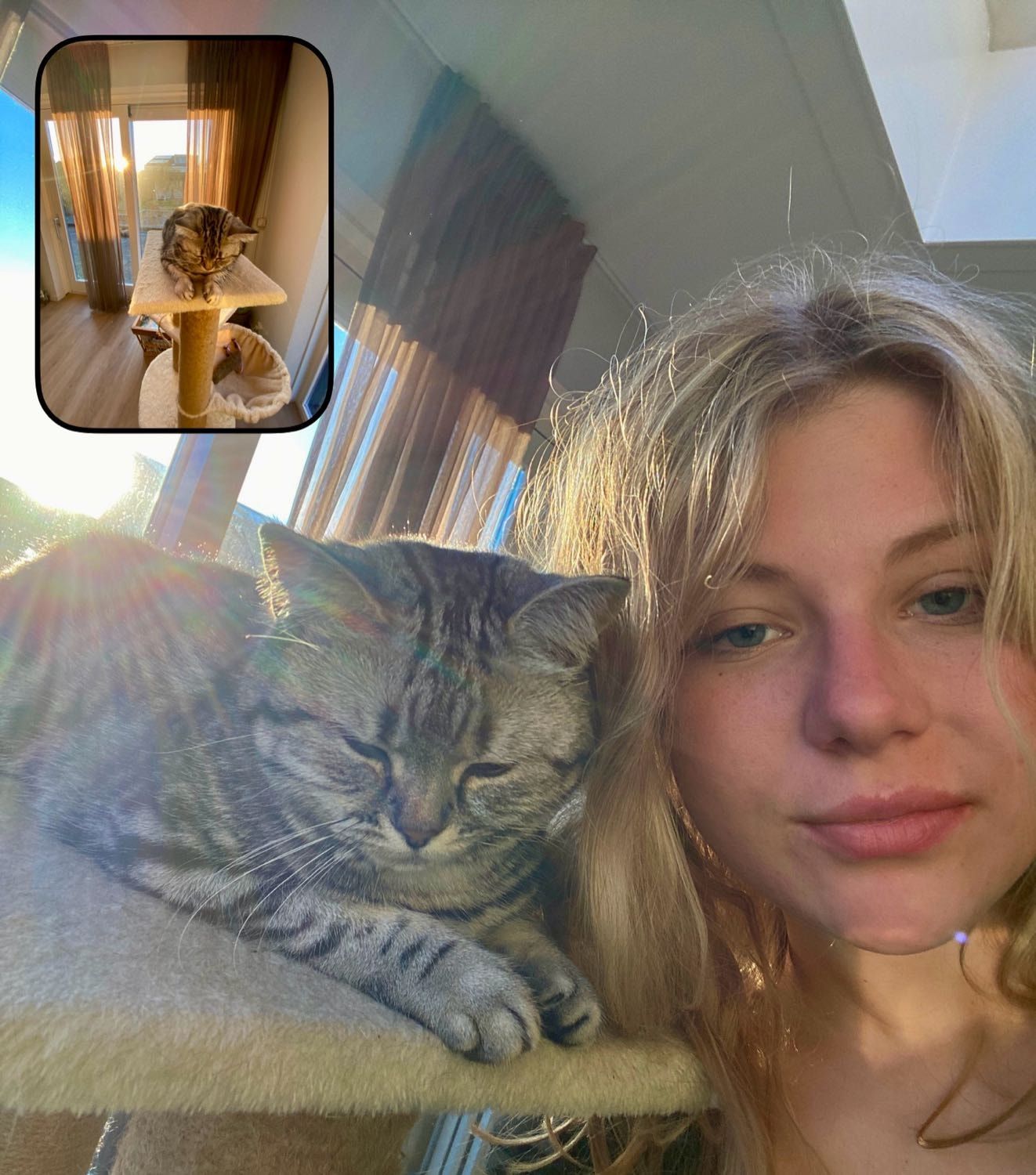 image-3