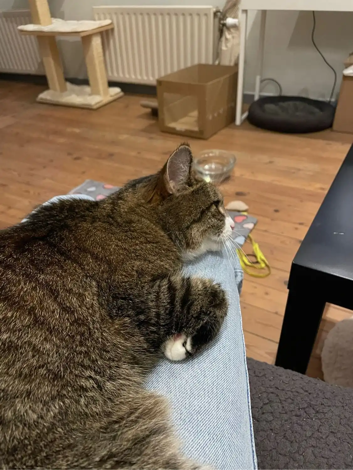 image-11