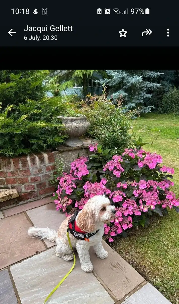 image-28