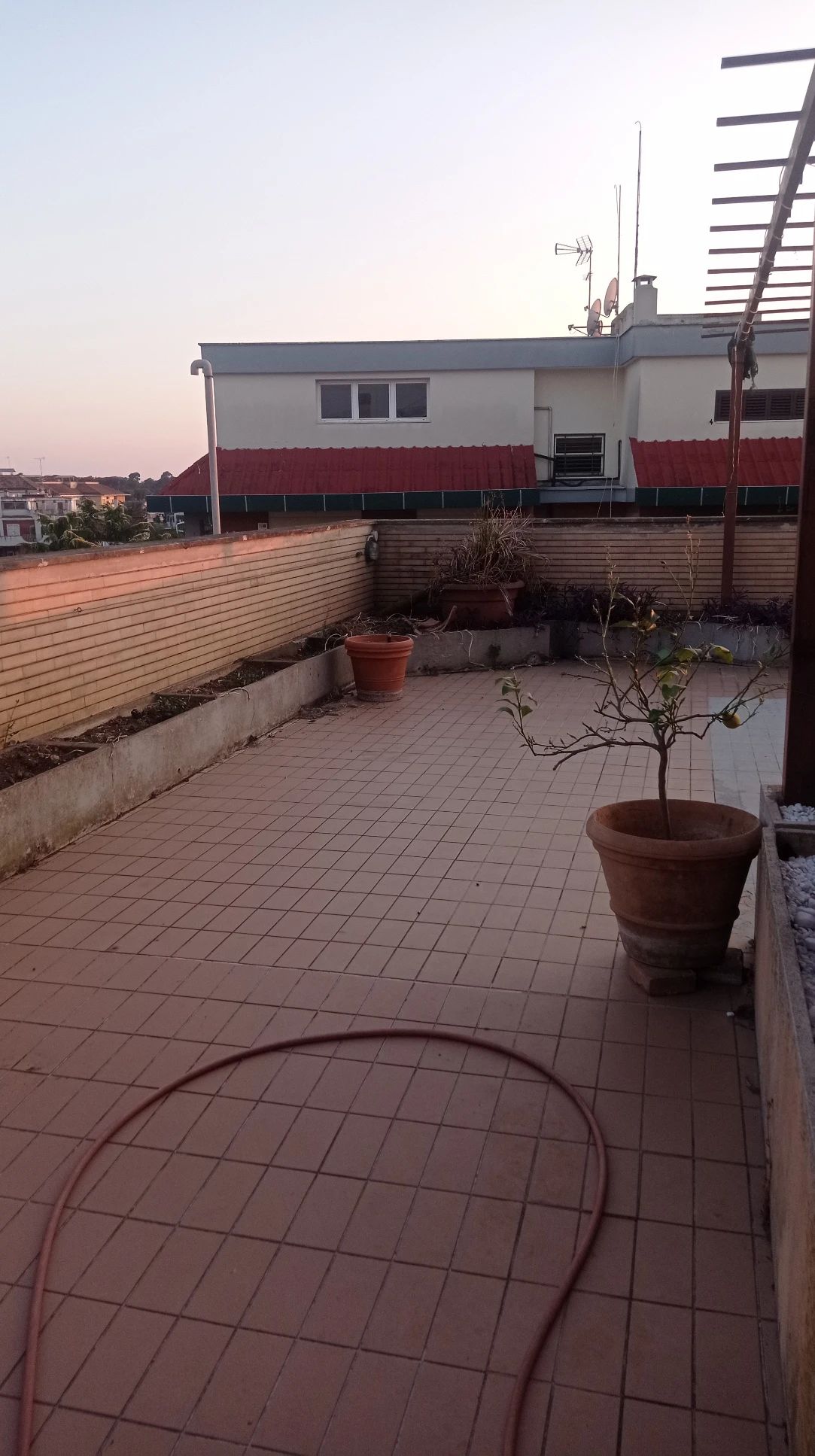 image-18
